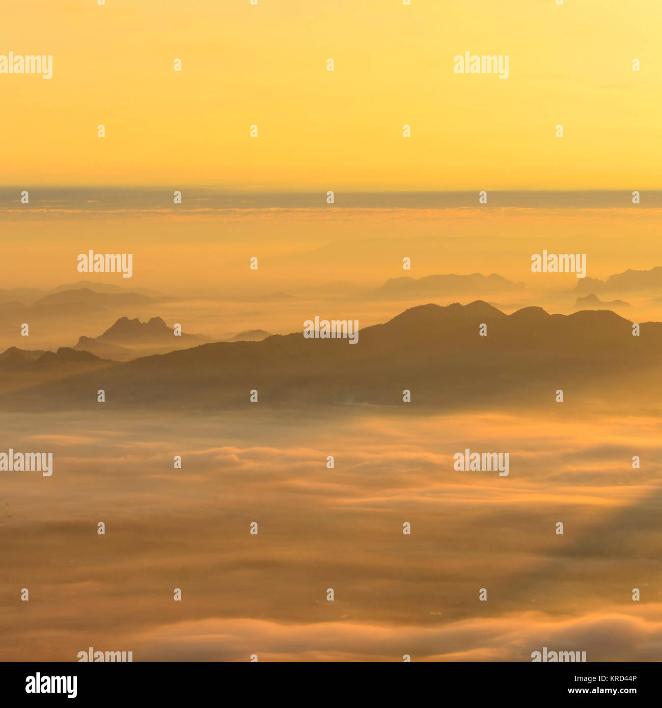 Mer de brouillard et lever du soleil tôt le matin, la lumière, l'éclairage naturel des phénomènes. Banque D'Images