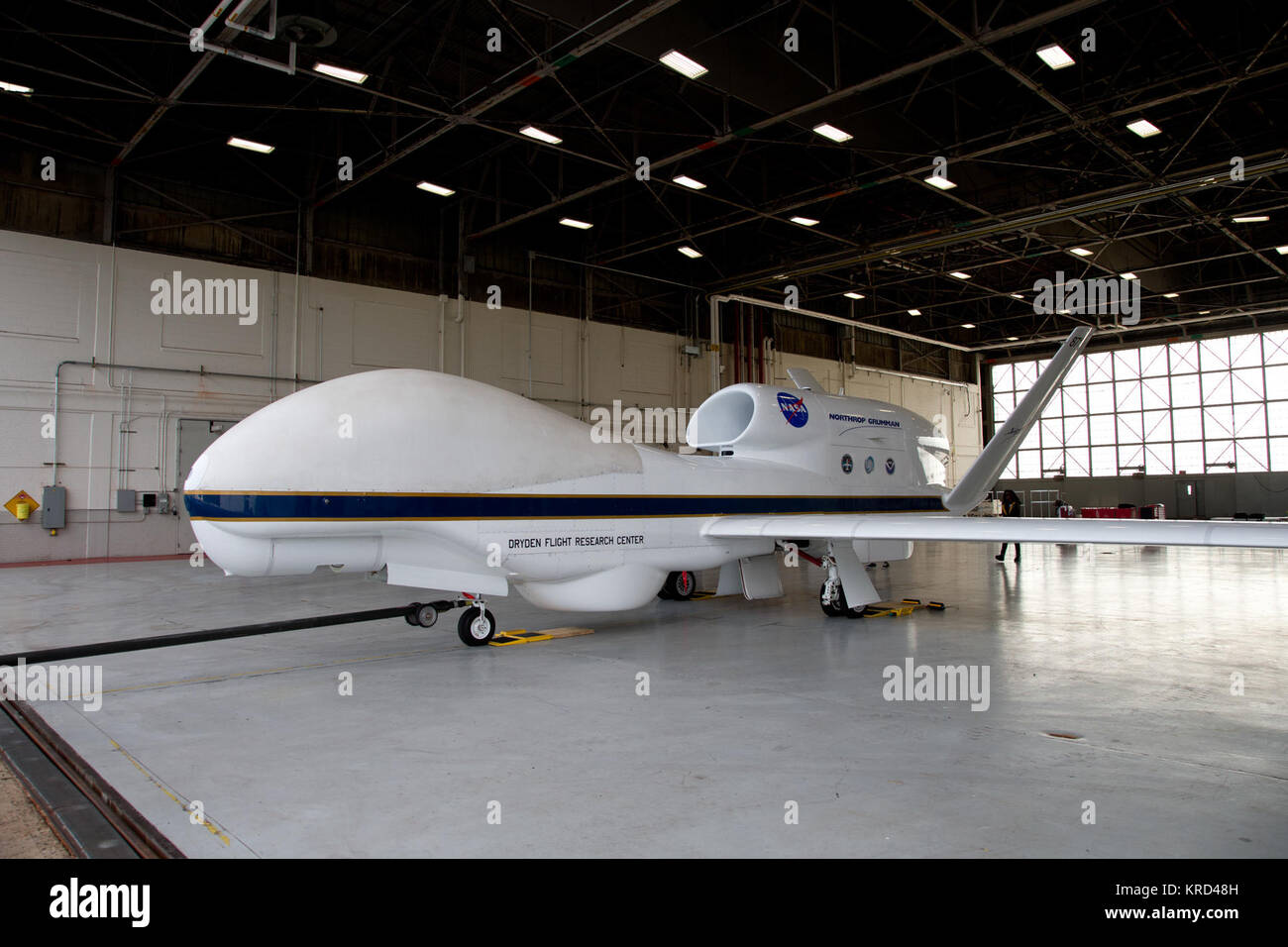 La NASA la première de deux drones Global Hawk soutenant l'Ouragan et tempête Sentinel (HS3) mission a atterri à 7 h 39 aujourd'hui, 14 août 2013, à Wallops Flight Facility de la NASA, Wallops Island en Virginie Dans cette photo, le Global Hawk est être abrité dans un hangar. En août et septembre, la NASA va voler les deux faucons globaux sur l'océan Atlantique pour étudier les tempêtes tropicales et les processus qui sous-tendent la formation et l'intensification des ouragans. Les avions sont équipés d'instruments d'enquête auprès de l'ensemble de l'environnement de la tempête et des pairs dans le noyau intérieur de hurri Banque D'Images