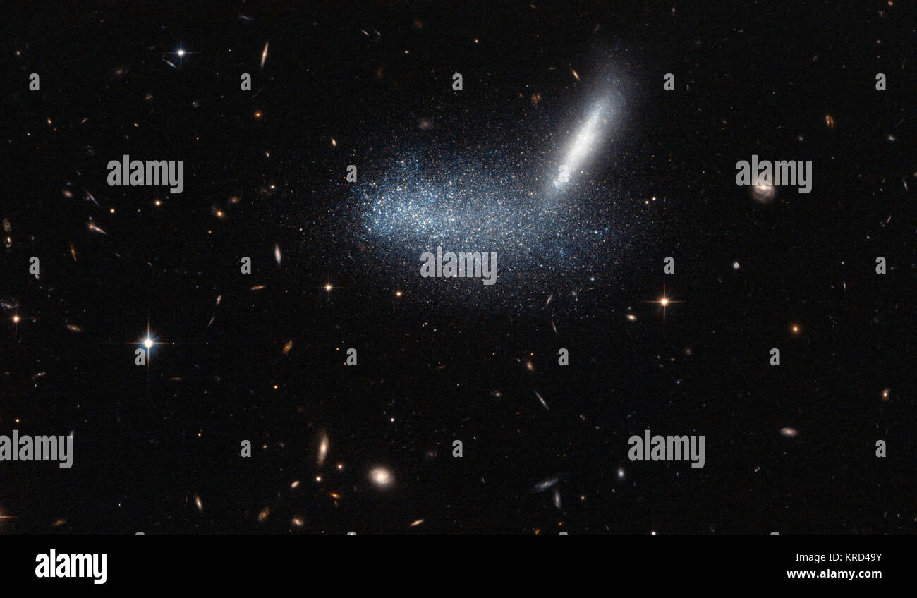 À première vue, ce télescope photo semble capturer deux colosses empêtré dans l'espace une féroce bataille céleste, avec deux galaxies entrelacés et fusionnent pour former un seul. Mais cela montre à quel point il est facile de mal interpréter le fouillis d'étoiles filantes et obtenir une impression fausse - que c'est dû à un effet de perspective. Par chance, ces galaxies semblent être alignés à partir de notre point de vue. Au premier plan, la galaxie naine irrégulière PGC 16389 - vue ici comme une nuée d'étoiles - couvre son APMBGC 252 +125-117 galaxie voisine, qui apparaît de côté comme une rayure. Cette image à grand champ capt également Banque D'Images