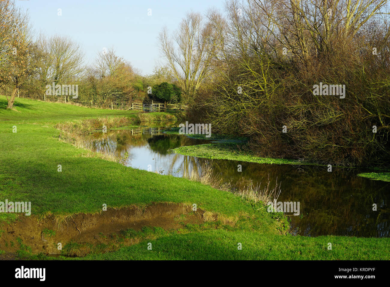 Grantchester Meadows Banque D'Images