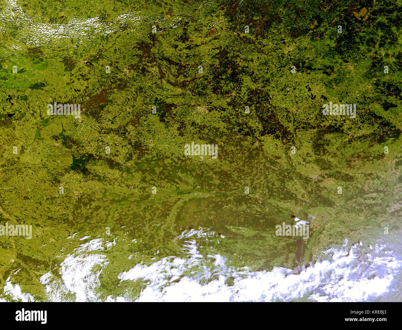 Le Bélarus image satellite MODIS Terra true color 2010-06-29 Banque D'Images