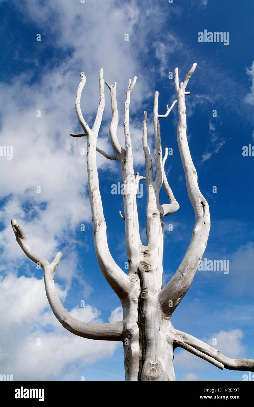 arbre mort Banque D'Images