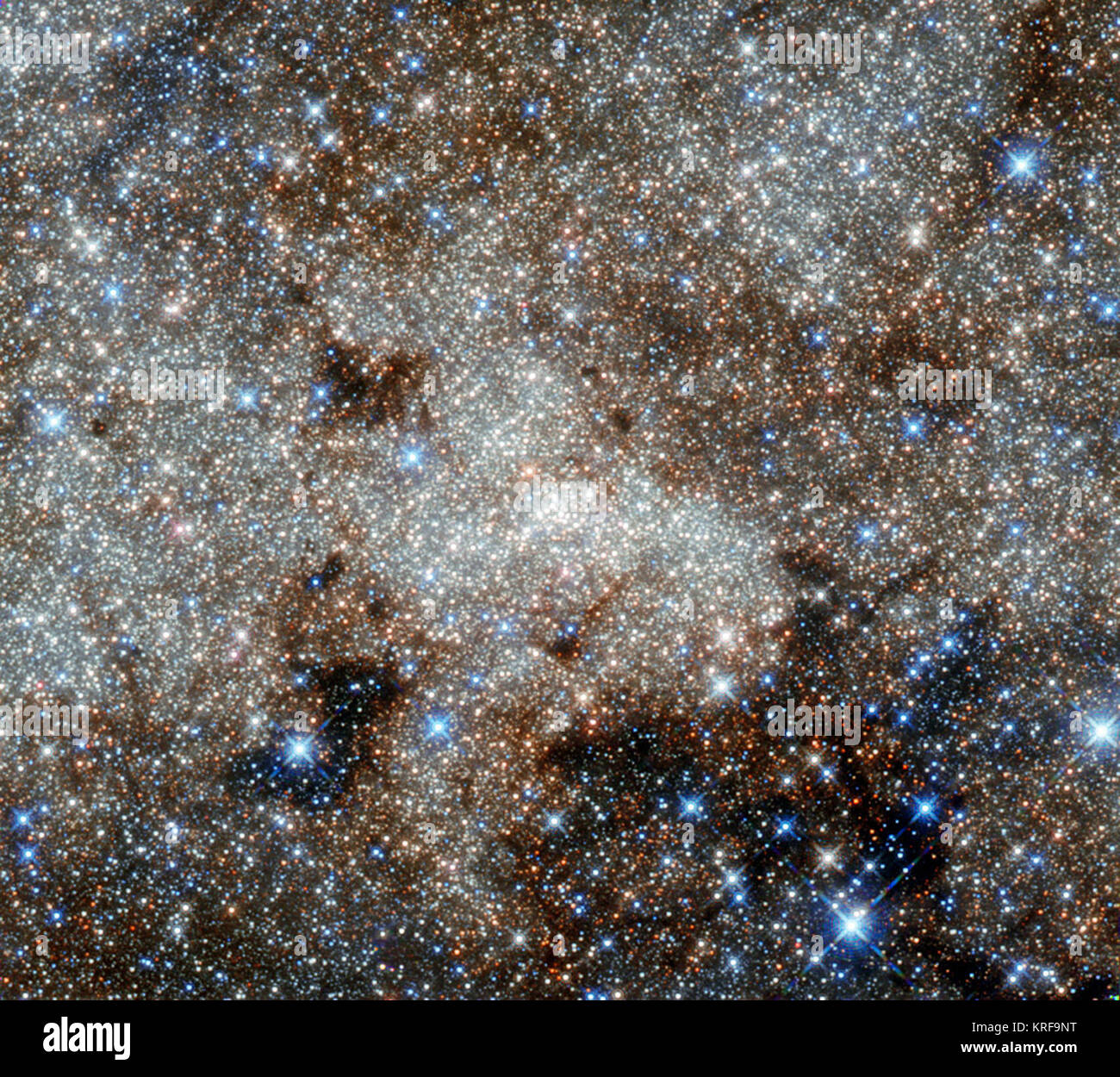 Cette image, à la manière d'une peinture pointilliste, indique le centre de la Voie lactée vers la constellation du Sagittaire. La foule du centre de notre galaxie contient de nombreux objets mystérieux et complexes qui sont habituellement cachées à longueurs d ondes optiques par les nuages de poussière - mais beaucoup sont visibles ici, dans ces observations infrarouges de Hubble. Cependant, le plus célèbre de l'objet cosmique dans cette image reste invisible : le monstre au coeur de notre galaxie appelée Sagittarius A*. Les astronomes ont observé les étoiles tourner autour de ce trou noir supermassif (situé dans le centre de t Banque D'Images