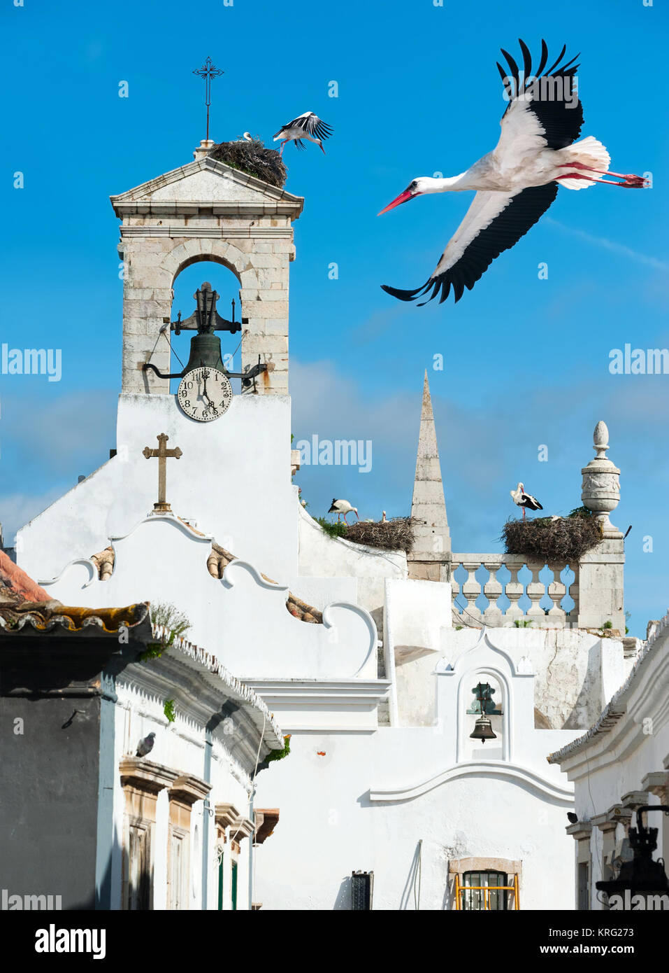 Cigognes blanches sur une église locale à Faro, Portugal Banque D'Images