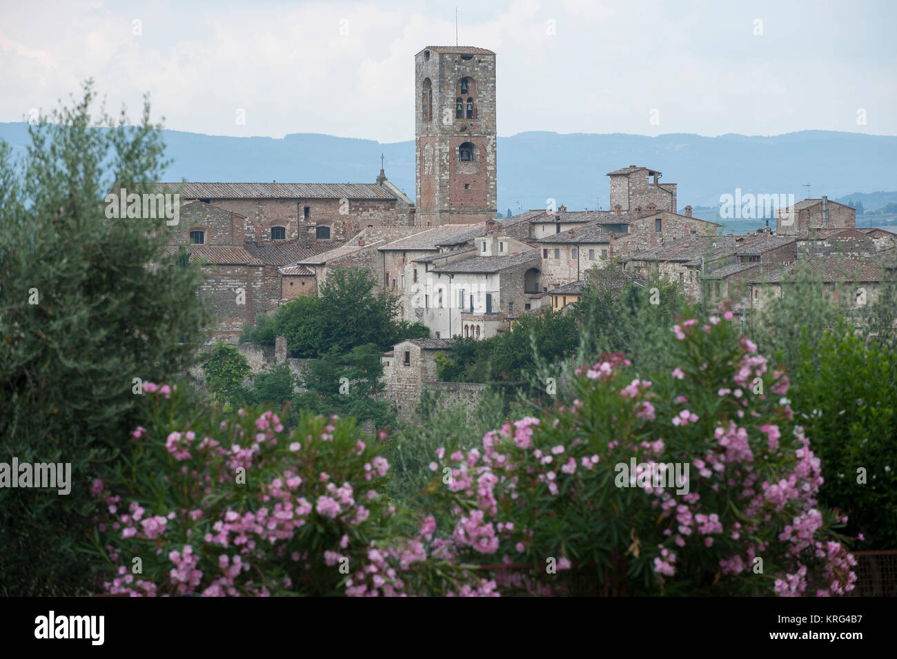 Clocher de Concattedrale dei Santi Alberto e Marziale (Cathédrale des Saints Albert et Martial) dans le centre historique de Colle di Val d'Elsa, Toscane, Banque D'Images