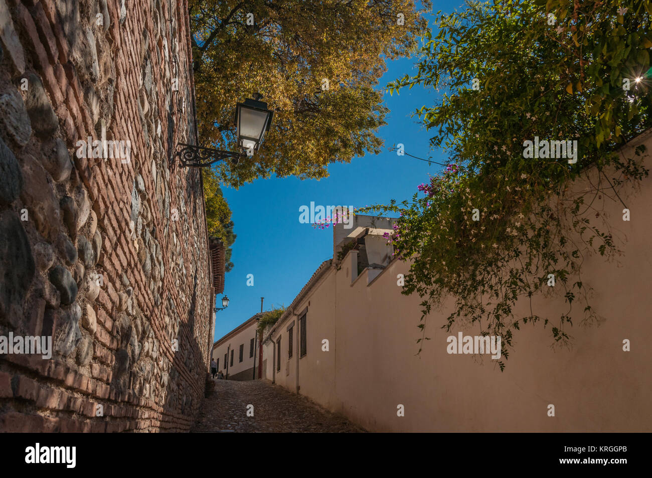 Une étroite ruelle pavée escalade vers le haut entre un mur de briques et d'un enduit. Feuillage jaune et vert jardin d'arbres sur les murs. Banque D'Images