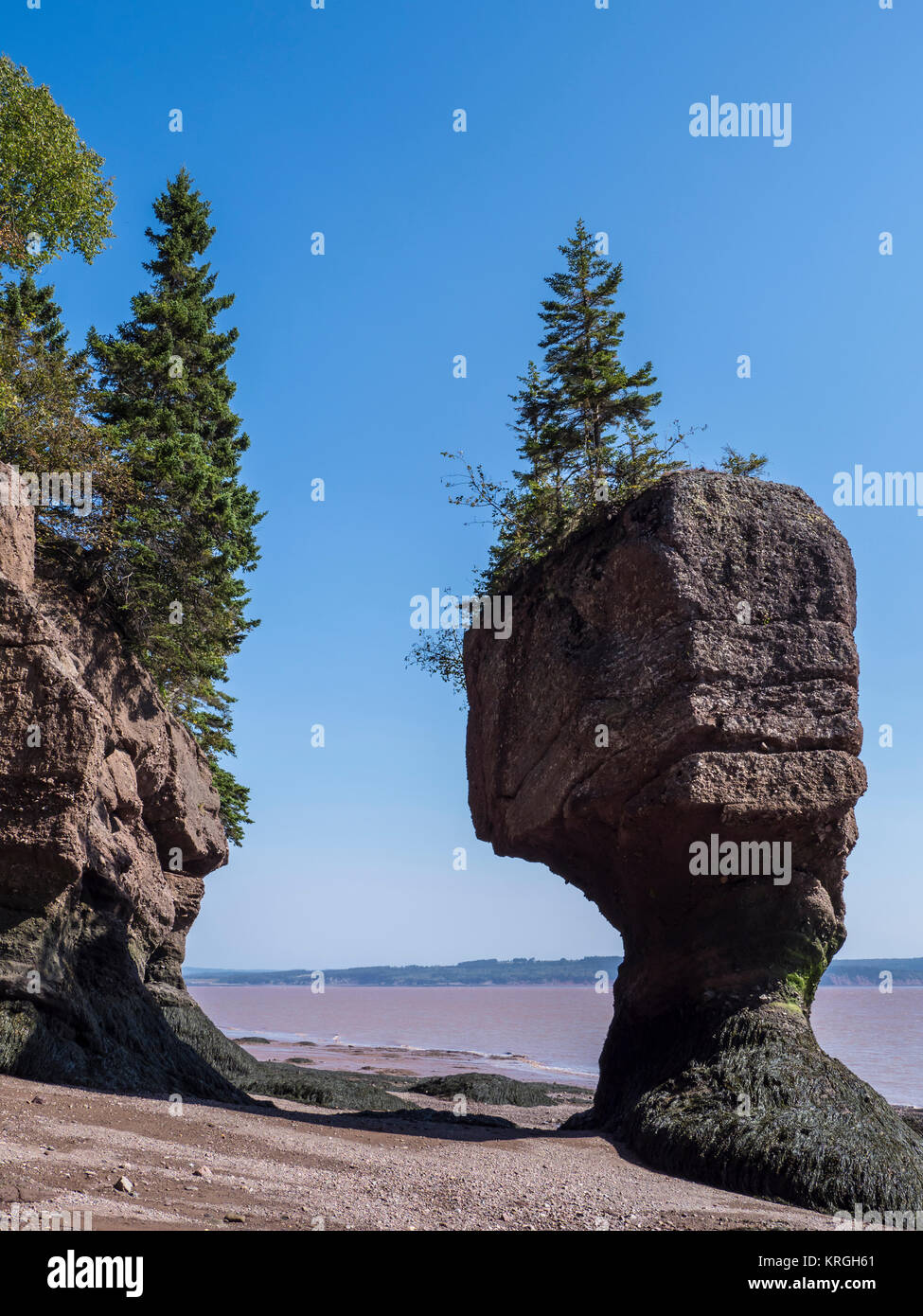 Rochers en forme, les Rochers de Hopewell, dans la baie de Fundy, Nouveau-Brunswick, Canada. Banque D'Images