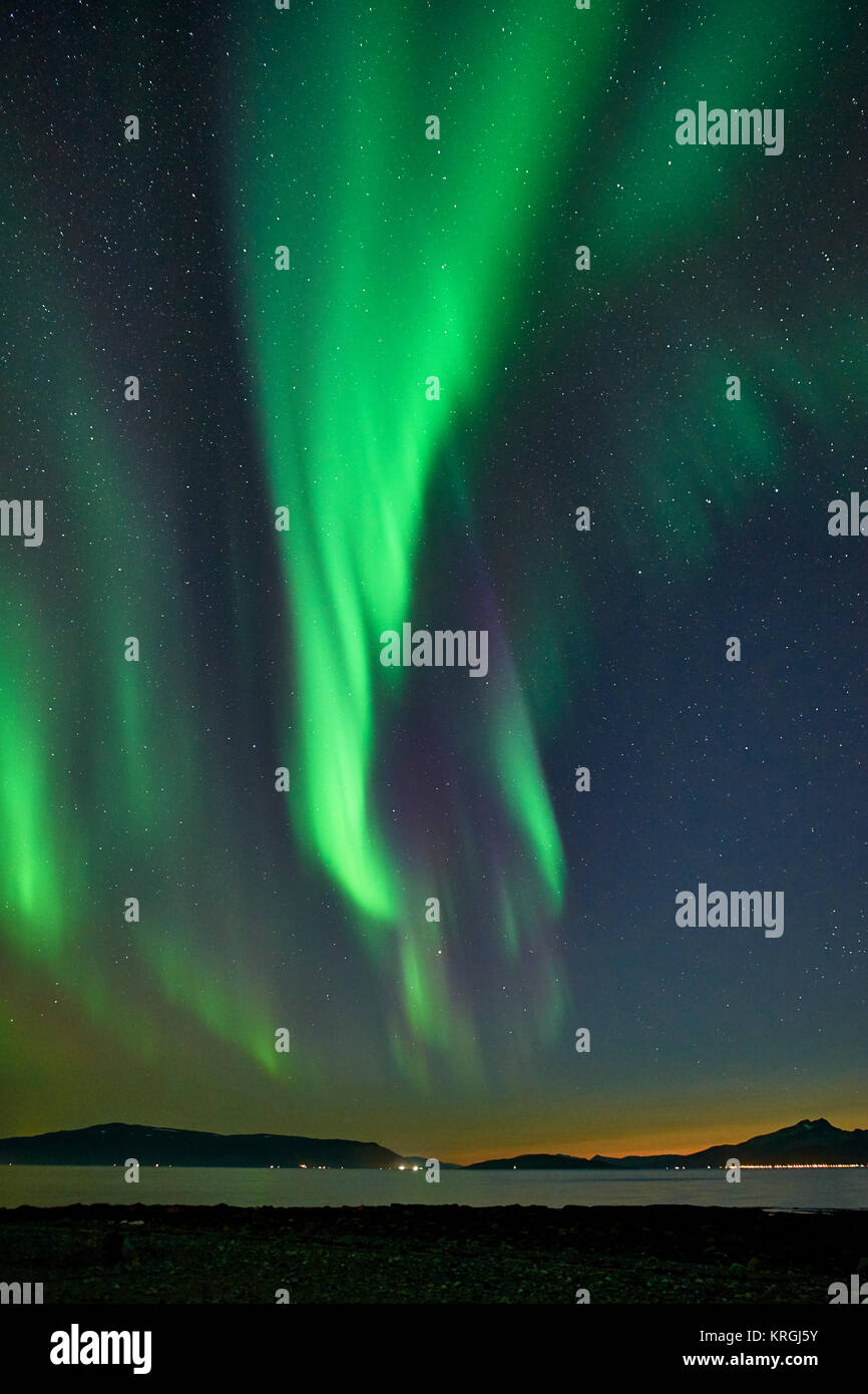 Aurora Borealis, Northern Lights de Russelv, Lyngen, Troms, Norvège Banque D'Images