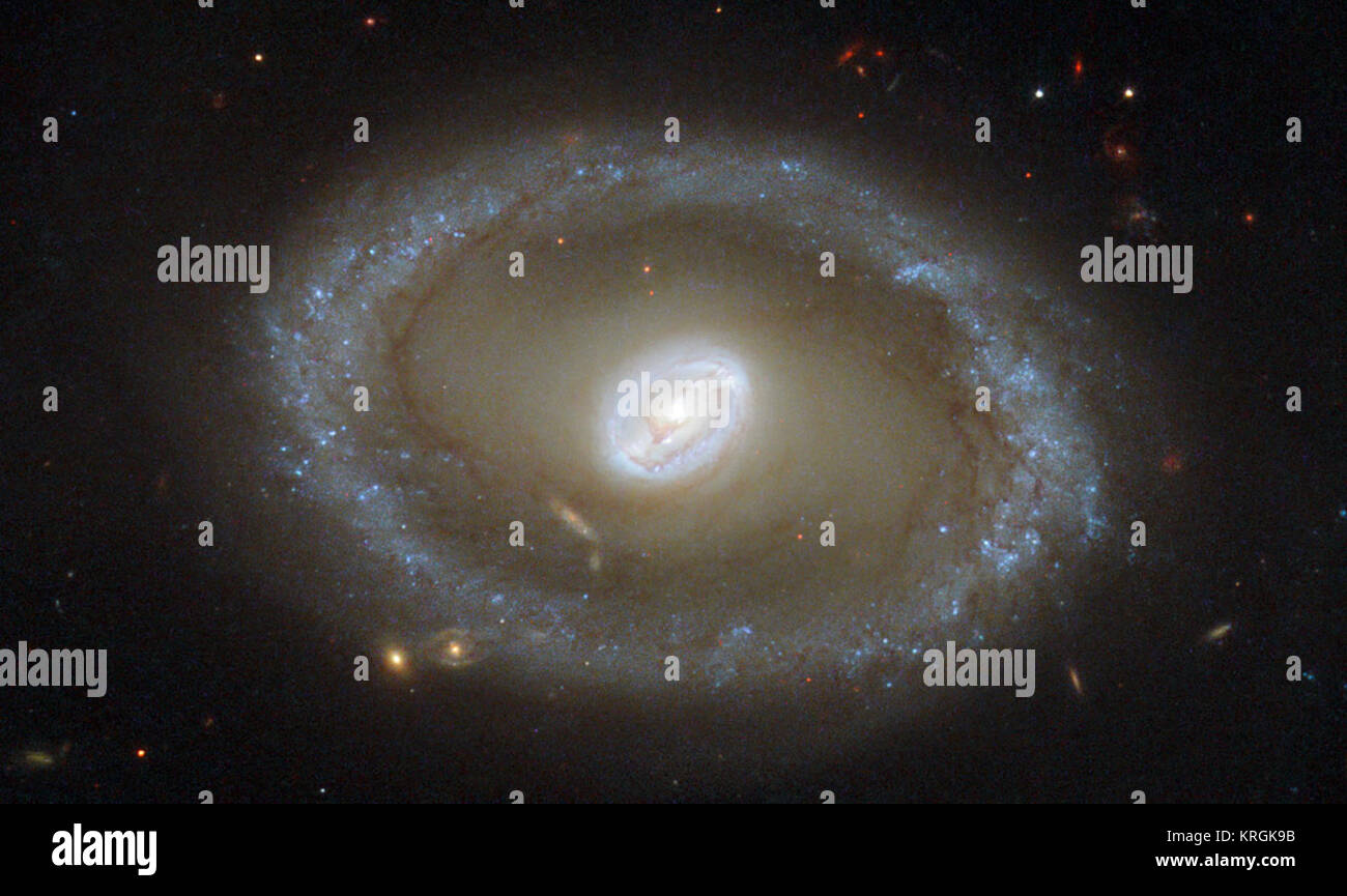 Le devant de la scène dans ce nouveau NASA/ESA Hubble Space Telescope image est une galaxie appelée NGC 3081, contre un assortiment de galaxies scintillant au loin. Situé dans la constellation de l'Hydre (Le Serpent de mer), NGC 3081 est situé à plus de 86 millions d'années-lumière de nous. Il est connu comme une galaxie Seyfert de type II, caractérisée par son noyau. NGC 3081 est vue ici presque de face. Par rapport à d'autres galaxies, il semble un peu différent. La galaxie spirale barrée du centre est entouré par une boucle lumineuse connu comme un anneau de résonance. Cet anneau est plein de fraises et de grappes lumineuses Banque D'Images
