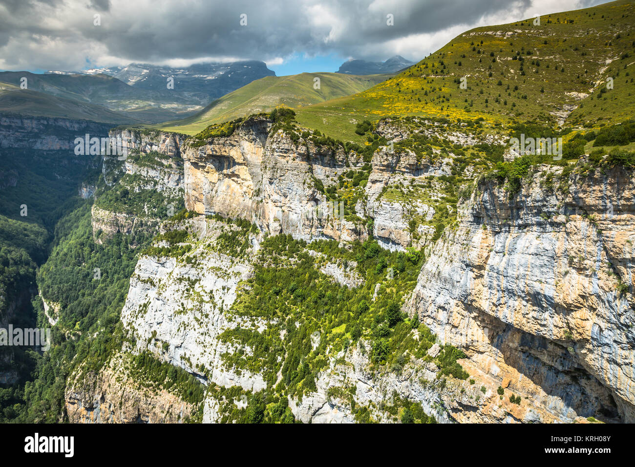 Pyrénées - paysage Canyon Anisclo en été. Huesca, Espagne Banque D'Images