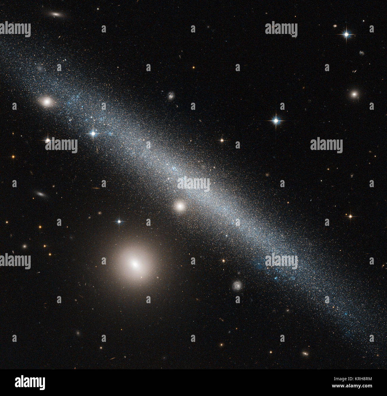 La galaxie radicalement de coupe sur l'image de cette NASA/ESA Hubble Space Telescope est une image légèrement tordu galaxie naine connue sous le nom de UGC 1281. Vu ici à partir d'un point de vue de côté, cette galaxie se trouve à environ 18 millions d'années-lumière dans la constellation d'Triangulum (Le Triangle). Le compagnon lumineux à l'angle inférieur gauche d'UGC 1281 est la petite galaxie PGC 6700, officiellement connu sous le nom 2MASX J01493473 +3234464. D'autres éminents étoiles appartenant à notre propre galaxie, la Voie lactée, et plus lointaines galaxies peuvent être vus éparpillés dans le ciel. Sur le côté nous avons vue d'UGC 1281 fait un p Banque D'Images