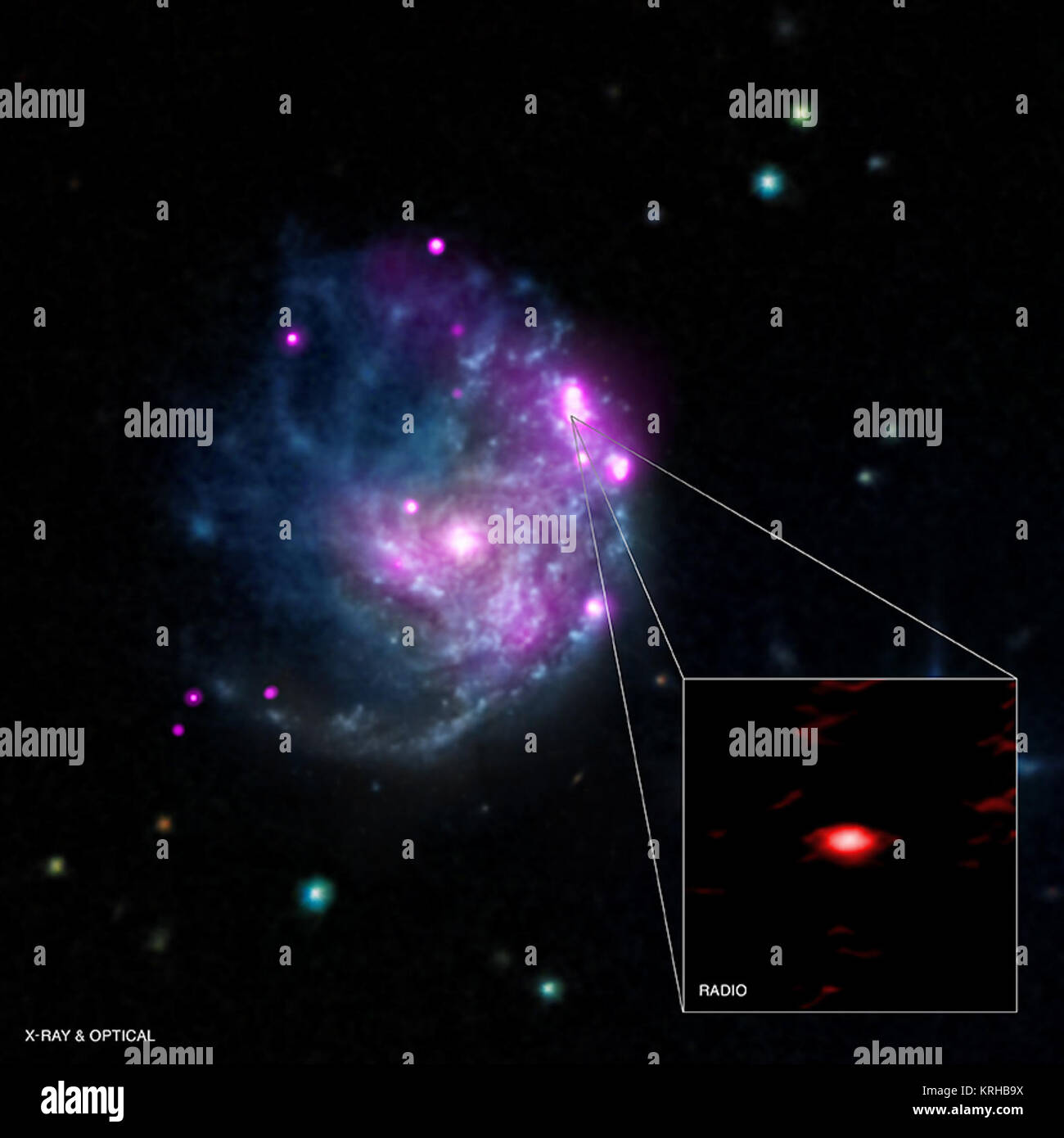 La découverte d'un nouveau objet dans la galaxie NGC 2276 pourrait se révéler un important trou noir qui aide à combler dans l'histoire évolutive de ces objets exotiques. Cette source, appelée NGC 2276-3C, est probablement un trou noir de masse intermédiaire avec environ 50 000 fois la masse du Soleil. Le graphique principal montre une image composite de la galaxie entière, avec des rayons X de Chandra (rose) et des données optiques (rouge, vert et bleu). L'inset zooms dans juste MBAC 2276-3c et révèle son émission dans les ondes radio, y compris un jet produit par le trou noir qui semble être réprimer la formation des étoiles. En combinant la X- Banque D'Images