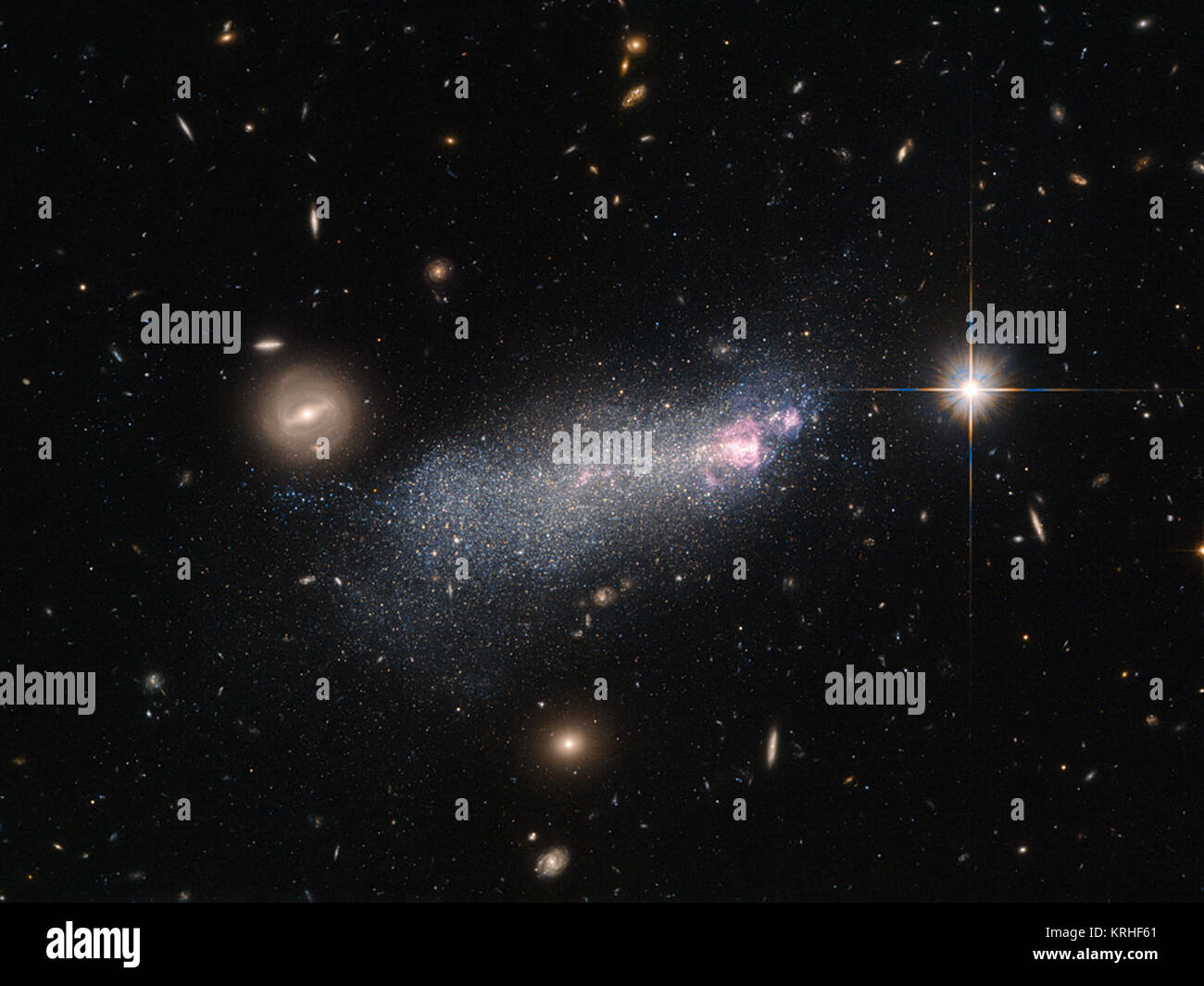 Cette NASA/ESA Hubble Space Telescope photo montre une galaxie nommée SBS 1415 +437 ou FDS CGB 12067.1, situé à environ 45 millions d'années-lumière de la Terre. SBS 1415 +437 est un loup-Rayet galaxy, un type d'starbursting galaxie avec un nombre exceptionnellement élevé de extrêmement chaud et les étoiles massives connu sous le nom de Wolf-Rayet stars. Ces étoiles peuvent être environ 20 fois plus massives que le soleil, mais semblent être sur une mission pour faire masse excédentaire le plus rapidement possible - ils blast vents importants de particules dans l'espace, les obligeant à diminuer à un rythme rapide. Une étoile typique de ce type peuvent perdre une masse égale à celle de Banque D'Images