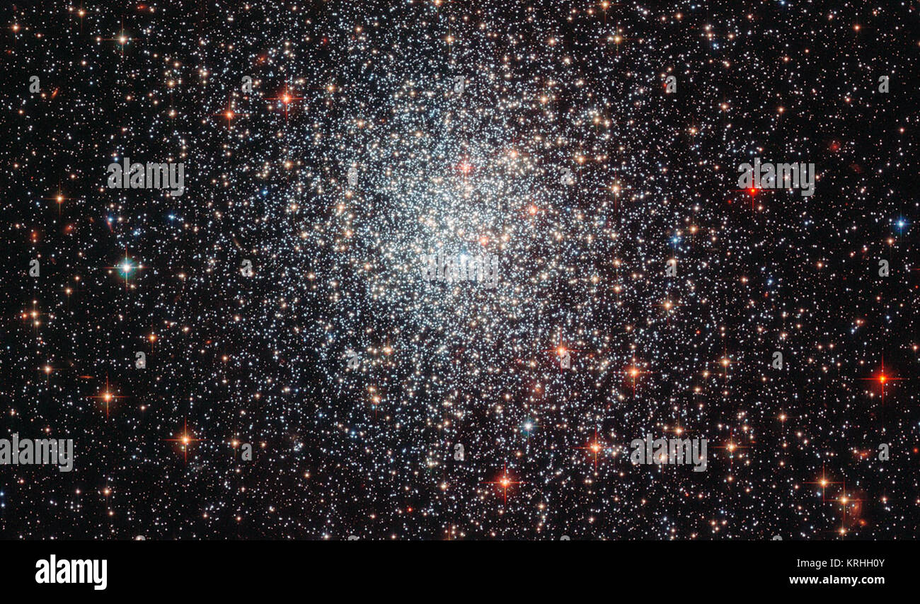 Montré ici dans une nouvelle image prise avec la caméra avancée pour les enquêtes (ACS) à bord de la NASA/ESA Hubble Space Telescope, est l'amas globulaire NGC 1783. C'est l'un des plus grands amas globulaires dans le Grand Nuage de Magellan, une galaxie satellite de notre propre galaxie, la Voie Lactée, dans la constellation de l'hémisphère sud de Dorado. Observée pour la première fois par John Herschel en 1835, NGC 1783 est près de 160 000 années-lumière de la Terre, et a une masse de l'ordre de 170 000 fois celle du Soleil. Les amas globulaires sont des collections d'étoiles denses maintenus ensemble par leur gravité, qui orbite autour de galaxies comme Banque D'Images