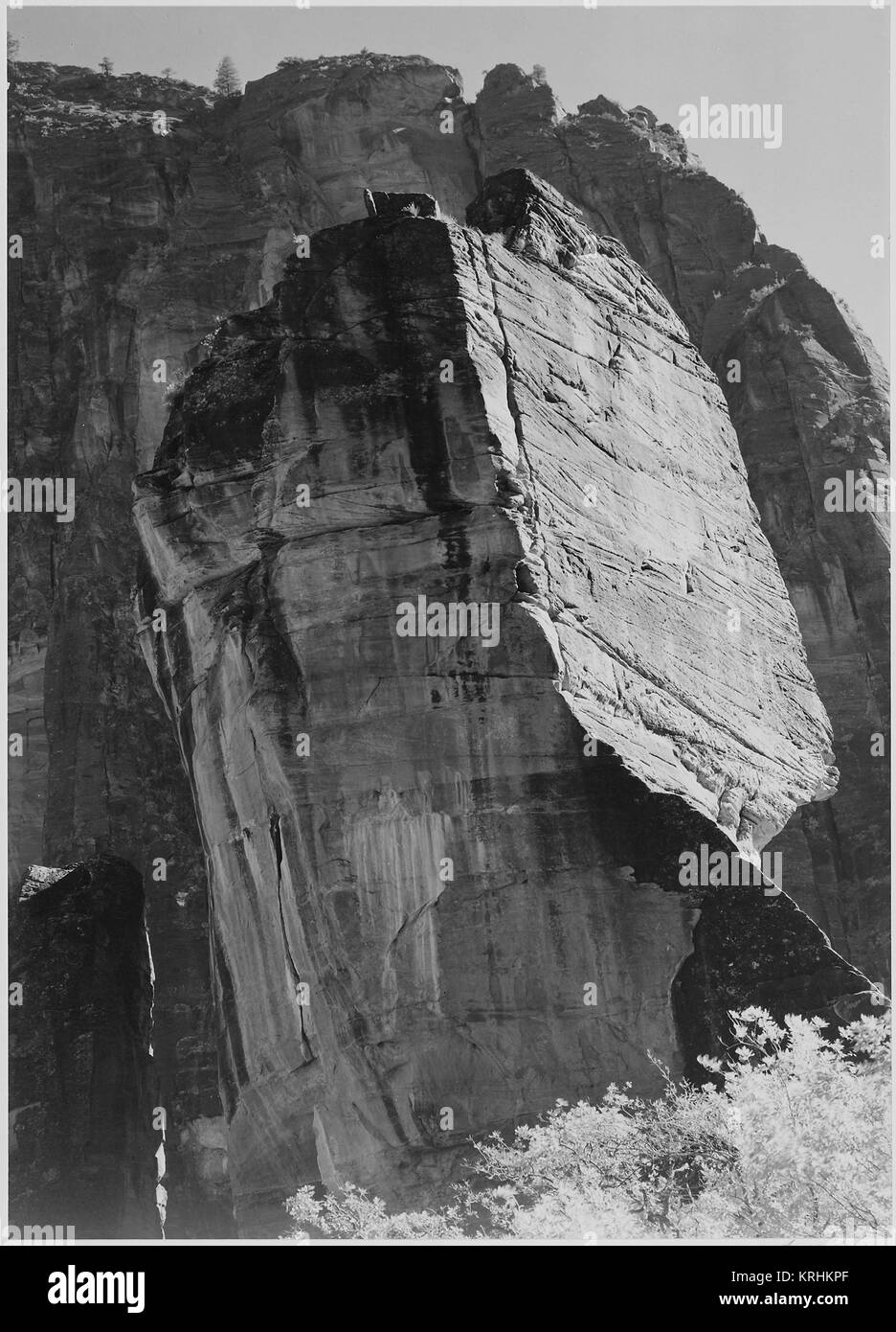 Rock formation à partir de ci-dessous 'Dans Zion National Park Utah'. (Orientation verticale) 1933 - 1942 Banque D'Images