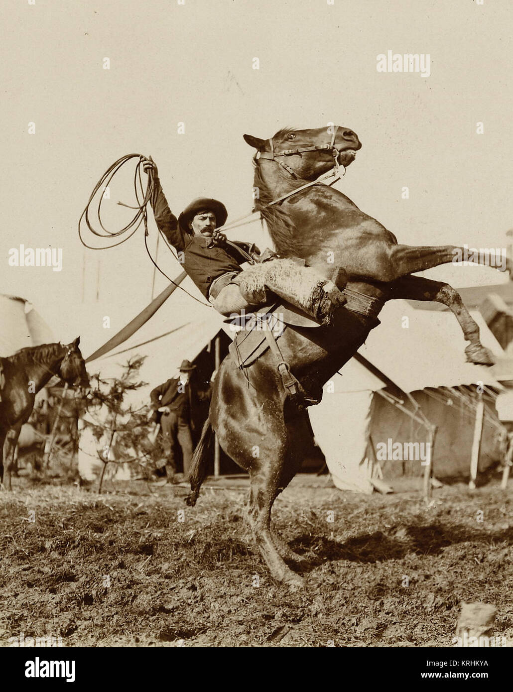 Wild West Show Performer détient en altitude une corde enroulée comme son cheval se dresse sur ses pieds de derrière. Banque D'Images