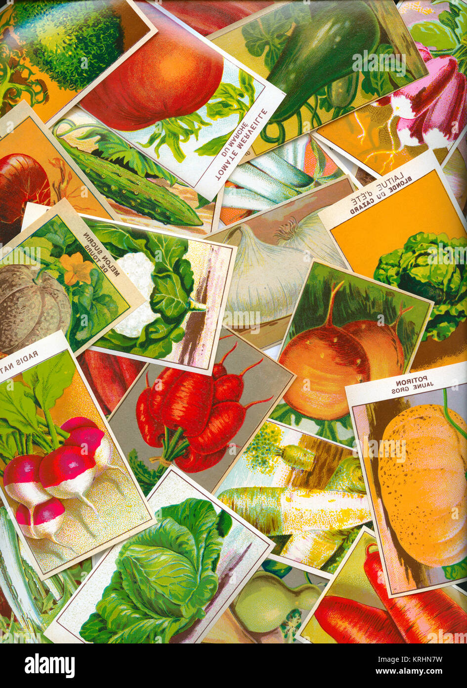 Collage de légumes Banque D'Images
