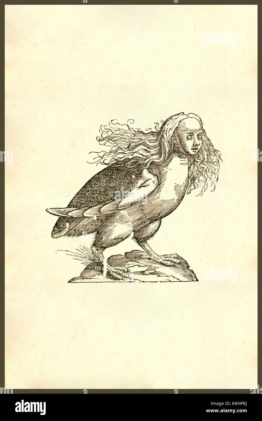 L'icône 'Harpyae,prima première photo d'une harpie (grec). Gravure sur bois de la renaissance des monstres. À partir de la livre Monstrorum Historia 1642 par Ulisse Aldrovandi (Bologne, 1522-1605). Il est considéré comme le fondateur de l'Histoire Naturelle moderne. Dans la mythologie grecque et mythologie romaine, une harpie était un monstre femelle sous la forme d'un oiseau avec un visage humain. Ils volent de la nourriture dans leurs victimes pendant qu'ils mangent et transporter les méchants (surtout ceux qui ont tué leur famille) à l'Erinyes. Ils semblent avoir été à l'origine des esprits du vent. Leur nom signifie ''snatchers''.' Banque D'Images