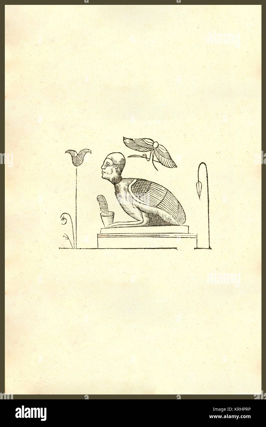 L'icône 'Harpyae tertia, Perse harpie. Gravure sur bois de la renaissance des monstres. À partir de la livre Monstrorum Historia 1642 par Ulisse Aldrovandi (Bologne, 1522-1605). Il est considéré comme le fondateur de l'Histoire Naturelle moderne. Dans la mythologie grecque et mythologie romaine, une harpie était un monstre femelle sous la forme d'un oiseau avec un visage humain. Ils volent de la nourriture dans leurs victimes pendant qu'ils mangent et transporter les méchants (surtout ceux qui ont tué leur famille) à l'Erinyes. Ils semblent avoir été à l'origine des esprits du vent. Leur nom signifie ''snatchers''.' Banque D'Images
