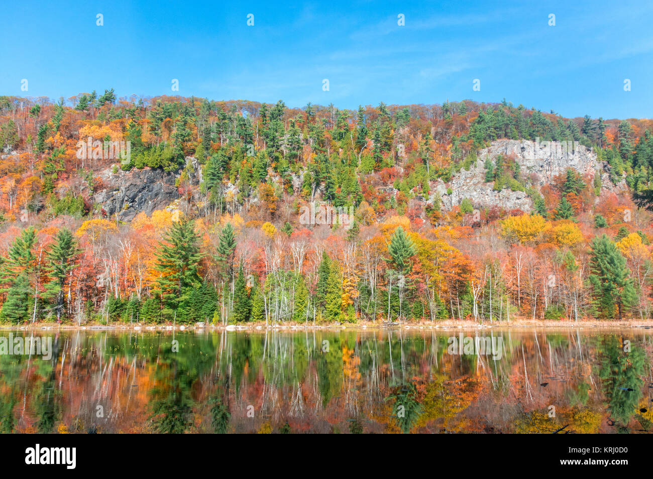 Paysage d'automne à Alfred Kelly réserver à Piedmont, Québec, Canada Banque D'Images