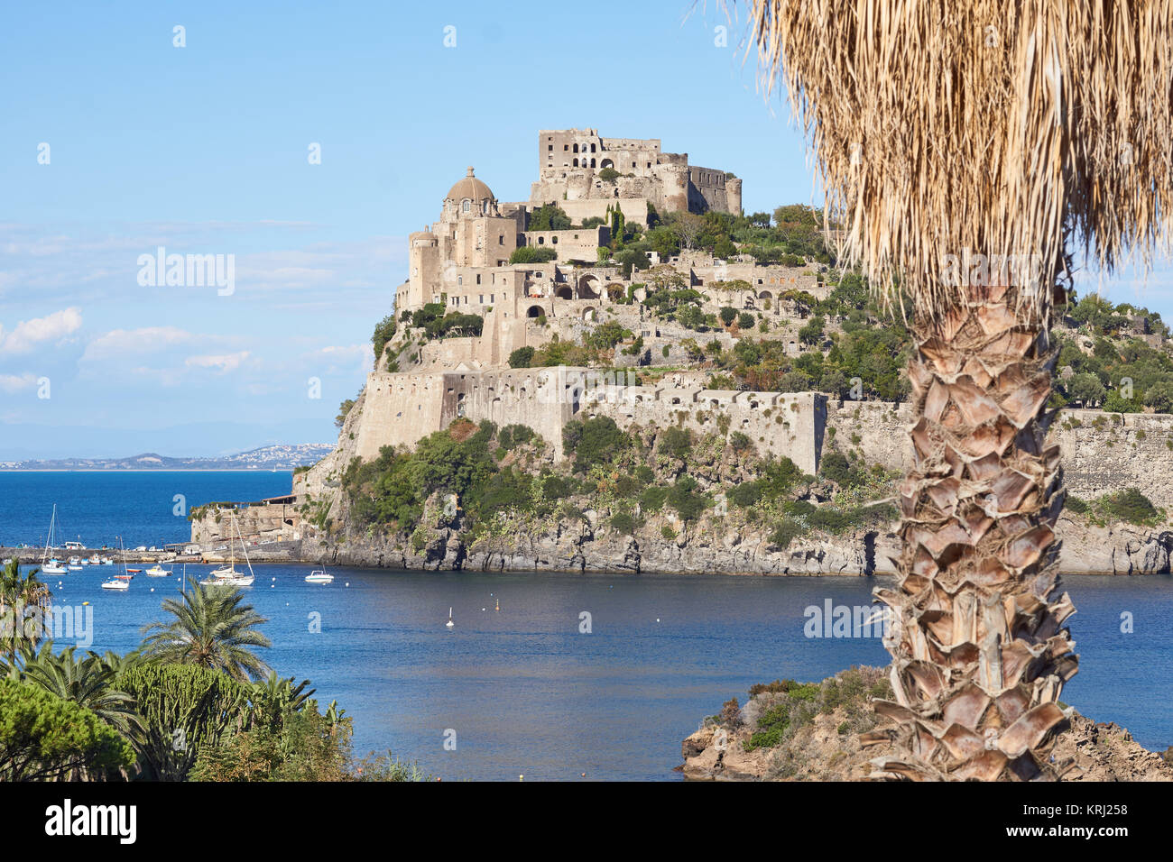 L'ancien château d'aragon ('Château Aragonais') et un exotique palmier dans Ischia Ponte, Italie Banque D'Images