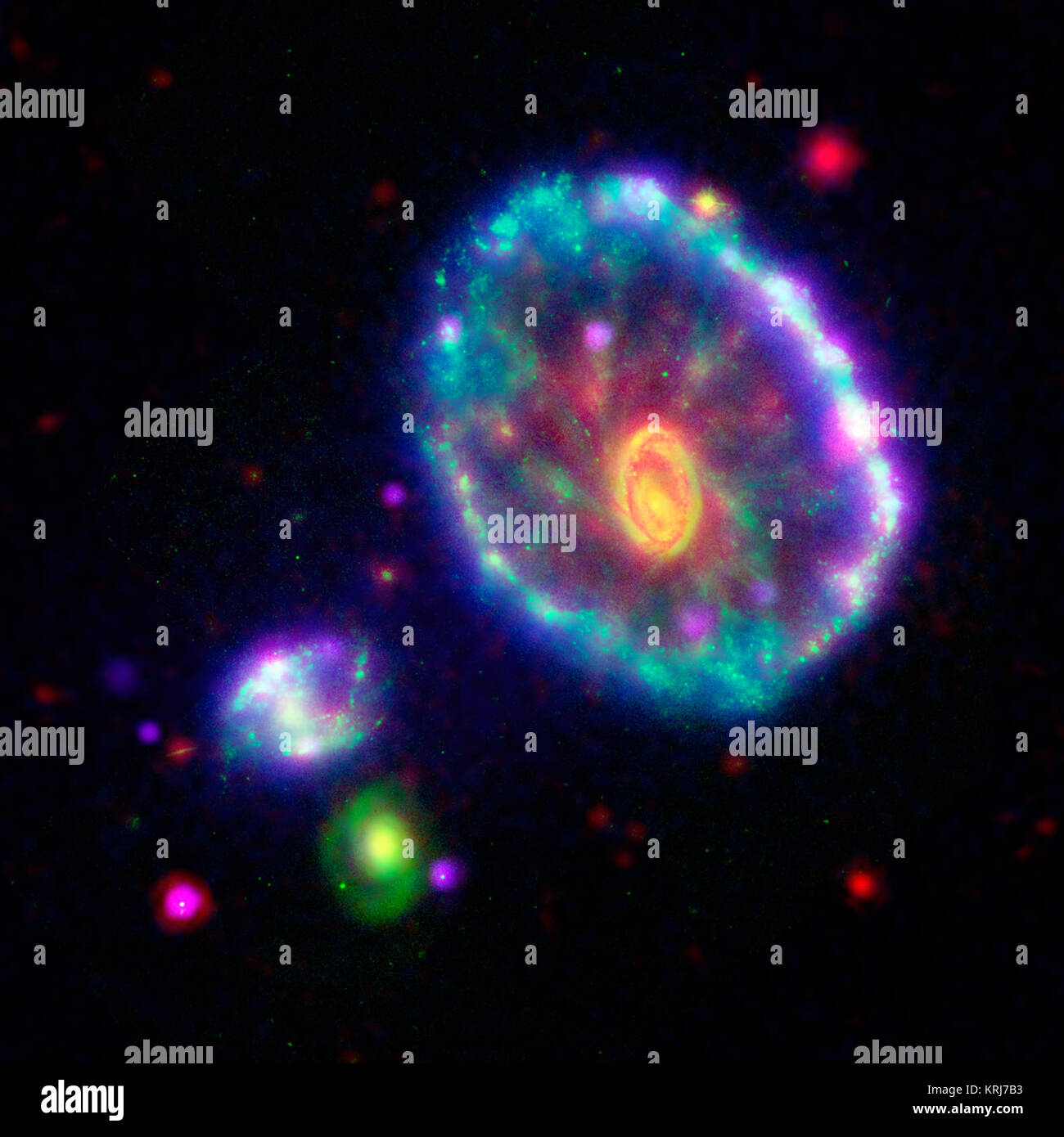 Cette image composite en fausses couleurs montre la galaxie Cartwheel vue par le Galaxy Evolution Explorer loin du détecteur ultraviolet (bleu), le télescope spatial Hubble's Wide Field and Planetary Camera-2 à B-band de la lumière visible (vert) ; le télescope spatial Spitzer's caméra infrarouge (IRAC) à 8 microns (rouge) ; et l'Observatoire de rayons X Chandra's Advanced Imaging Spectrometer CCD-S Tableau de matrice (violet). Environ 100 millions d'années, une plus petite galaxie plongé dans le cœur de la galaxie Cartwheel, créant des vagues de mémoire la formation des étoiles. Dans cette image, le premier apparaît comme une ondulation Banque D'Images
