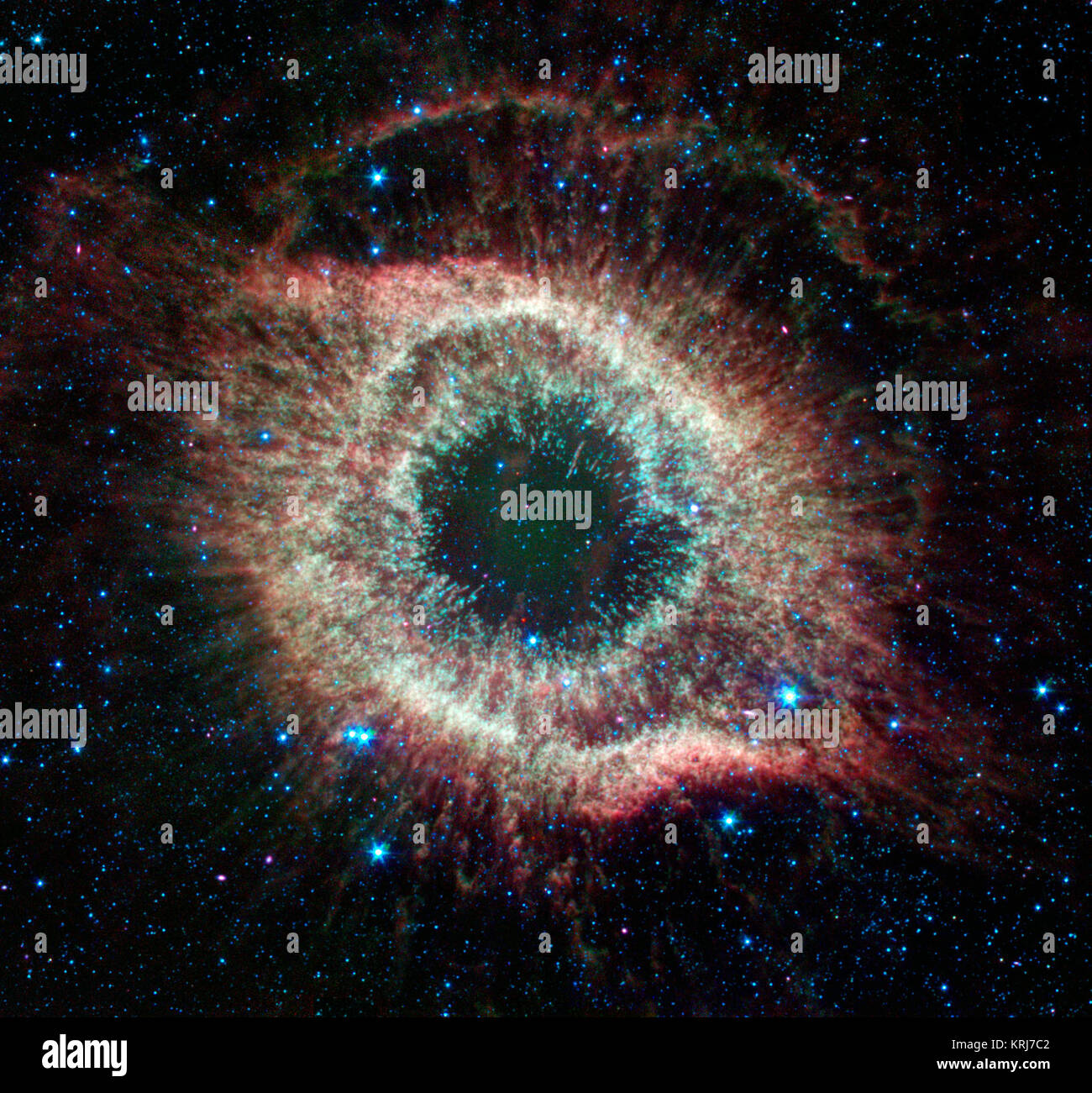 Un nouveau droit de l'Hélix nebula apporte une touche festive pour le quatrième anniversaire du lancement du télescope spatial Spitzer de la NASA. Cet objet spectaculaire, une mort star démêler dans l'espace, est le préféré des astronomes amateurs et professionnels. Spitzer a cartographié l'immense structure extérieure de la six-année-lumière-vaste nébuleuse, et de sonder la région interne autour de l'étoile morte de révéler ce qui semble être un système planétaire qui a survécu à l'agonie chaotique de l'étoile. Nebula Helix en infrarouge Banque D'Images
