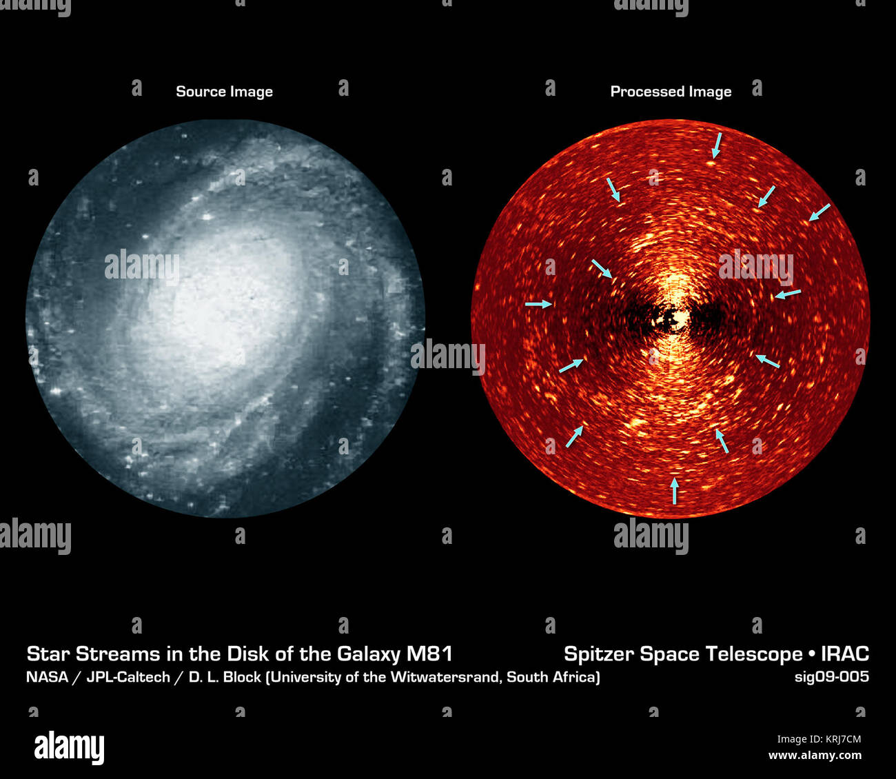 Ici nous voyons deux vues différentes de la galaxie spirale Messier 81. Sur la gauche est une image prise en lumière bleue, tandis que sur la droite est une version spécialement traitées d'une image prise avec le télescope spatial Spitzer's caméra infrarouge (IRAC) à 4,5 microns. L'image traitée révèle des myriades de petits arclets, un échantillon représentatif de qui sont d'une flèche. Chacune de ces arclets représente une jeune star stream dans le disque de la galaxie. L'observation de la galaxie dans l'infrarouge est la seule façon de voir directement la plus jeune étoile, depuis l'enveloppe de poussières et de gaz qui les entoure est opaque à vis Banque D'Images