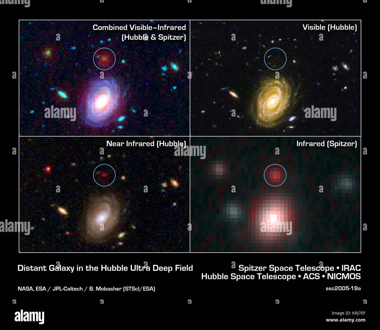 NASA's Spitzer et Hubble Space télescope associés pour découvrir l'une des plus lointaines galaxies jamais vu. La galaxie lointaine, nommée HUDF-JD2 (en cercle vert) n'est pas vu en lumière visible de Hubble image (en haut à droite), mais a été détectée à l'aide d'Hubble près de caméra infrarouge et le spectromètre multi-objets (en bas à gauche). Il semble encore plus prometteuse à plus d'onde infrarouge, comme l'a révélé la caméra infrarouge Spitzer (en bas à droite). Au domaine visible, la lumière de la galaxie est absorbée par les gaz hydrogène, et ainsi la galaxie apparaît faible dans le télescope Hubble dans le visible et le proche-in Banque D'Images