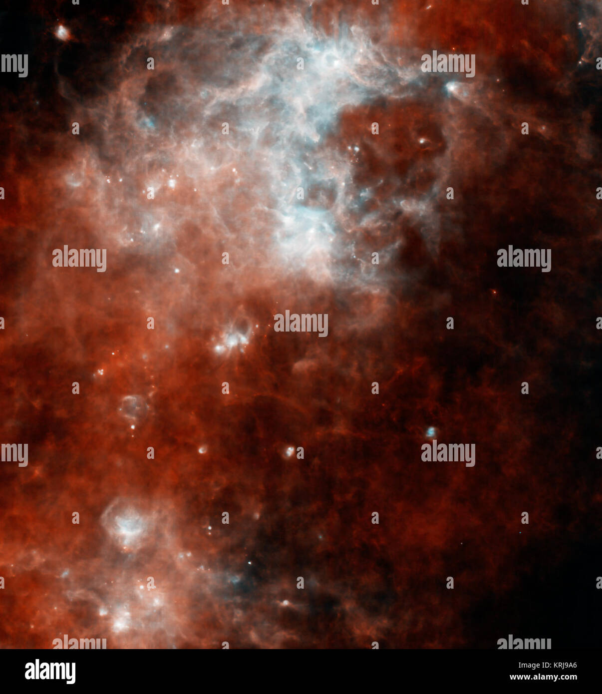Cette image de l'Observatoire Herschel révèle certains des endroits les plus froids et les plus sombres dans notre galaxie. Le clapot nuages de gaz et de poussière sont commencer juste à se condenser en de nouvelles étoiles. Blue montre la poussière la plus chaude en photo, et rouge le plus frais. La lumière infrarouge d'une longueur d'onde de 70 microns est représenté en bleu, et 160 microns de lumière est en rouge. La plus grande partie de cette région de la galaxie serait caché dans une vue en lumière visible. La région est représentée dans le plan de notre galaxie, la Voie Lactée, 60 degrés à partir du centre. Il s'étend sur une région 2.1 par 2.1 degrés. Cette image a été prise par Herschel et spectrale de l'pho Banque D'Images