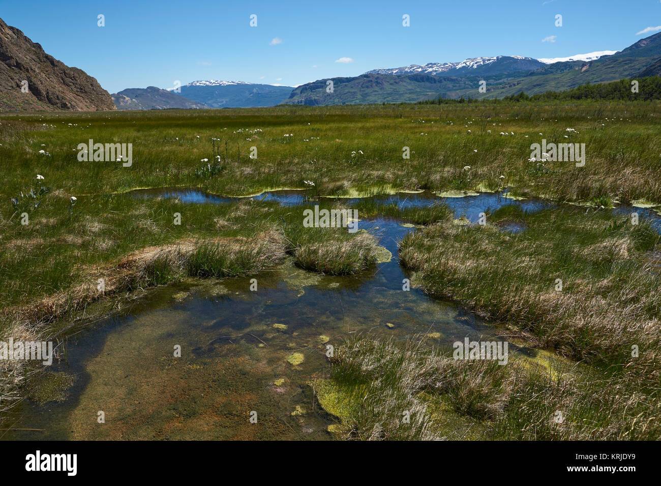 Lacs et milieux humides le long du fond de vallée Chacabuco dans le nord de la Patagonie, au Chili. Banque D'Images