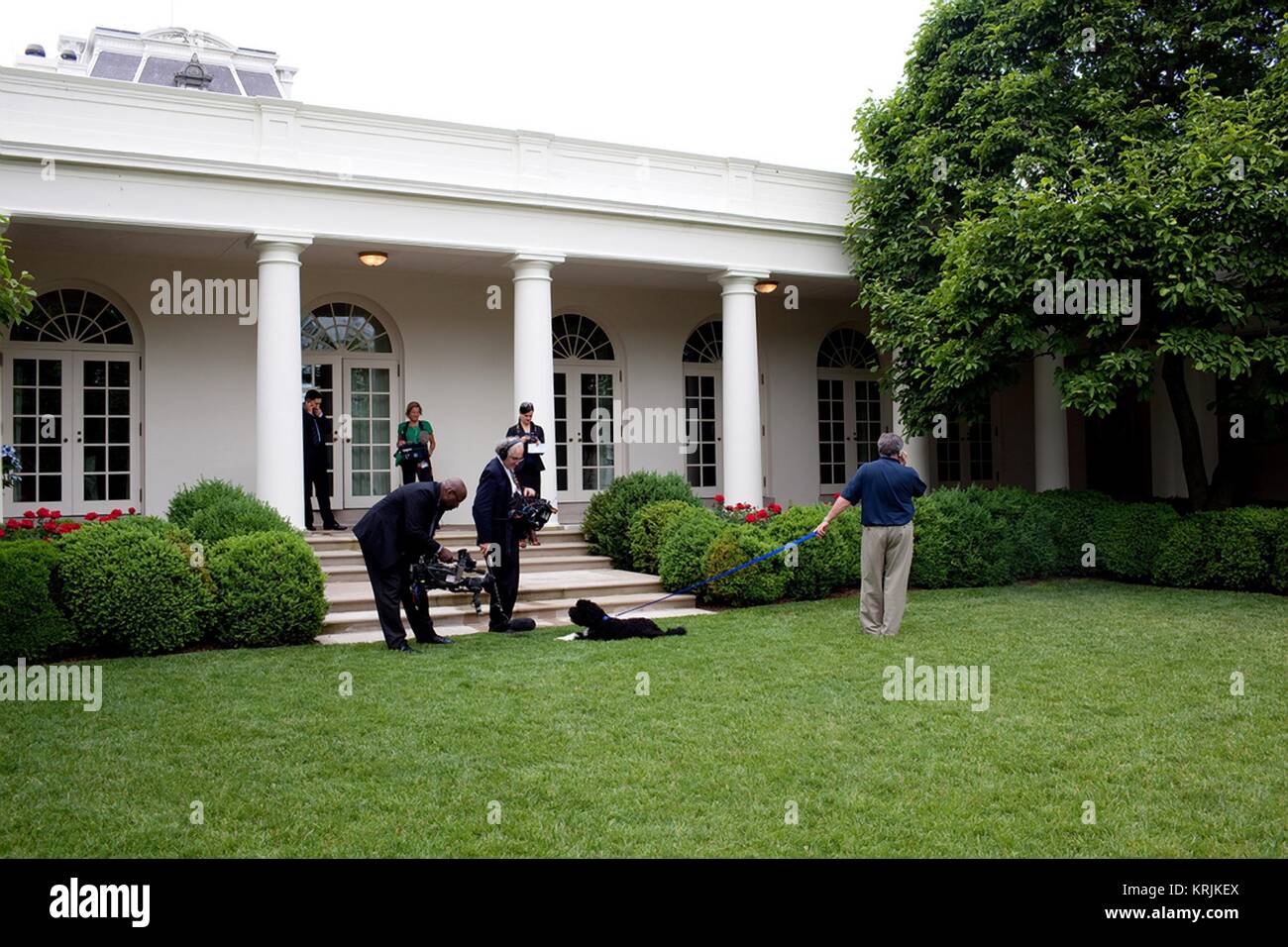 Les équipes de NBC de la vidéo et de capturer des images de premier chien Bo dans la Maison Blanche Rose Garden pour la diffusion à l'intérieur de la Maison blanche d'Obama le 29 mai 2009 à Washington, DC. Banque D'Images