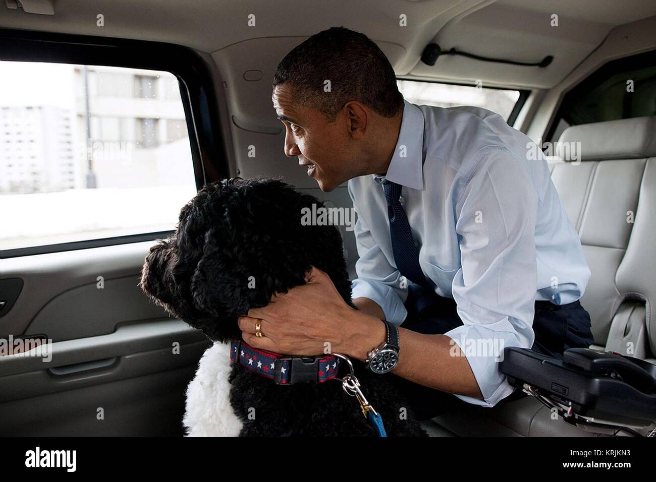 Le président américain Barack Obama et le chien de la famille Bo ride dans la limousine présidentielle le 21 décembre 2011 à Alexandria, Virginie. Banque D'Images