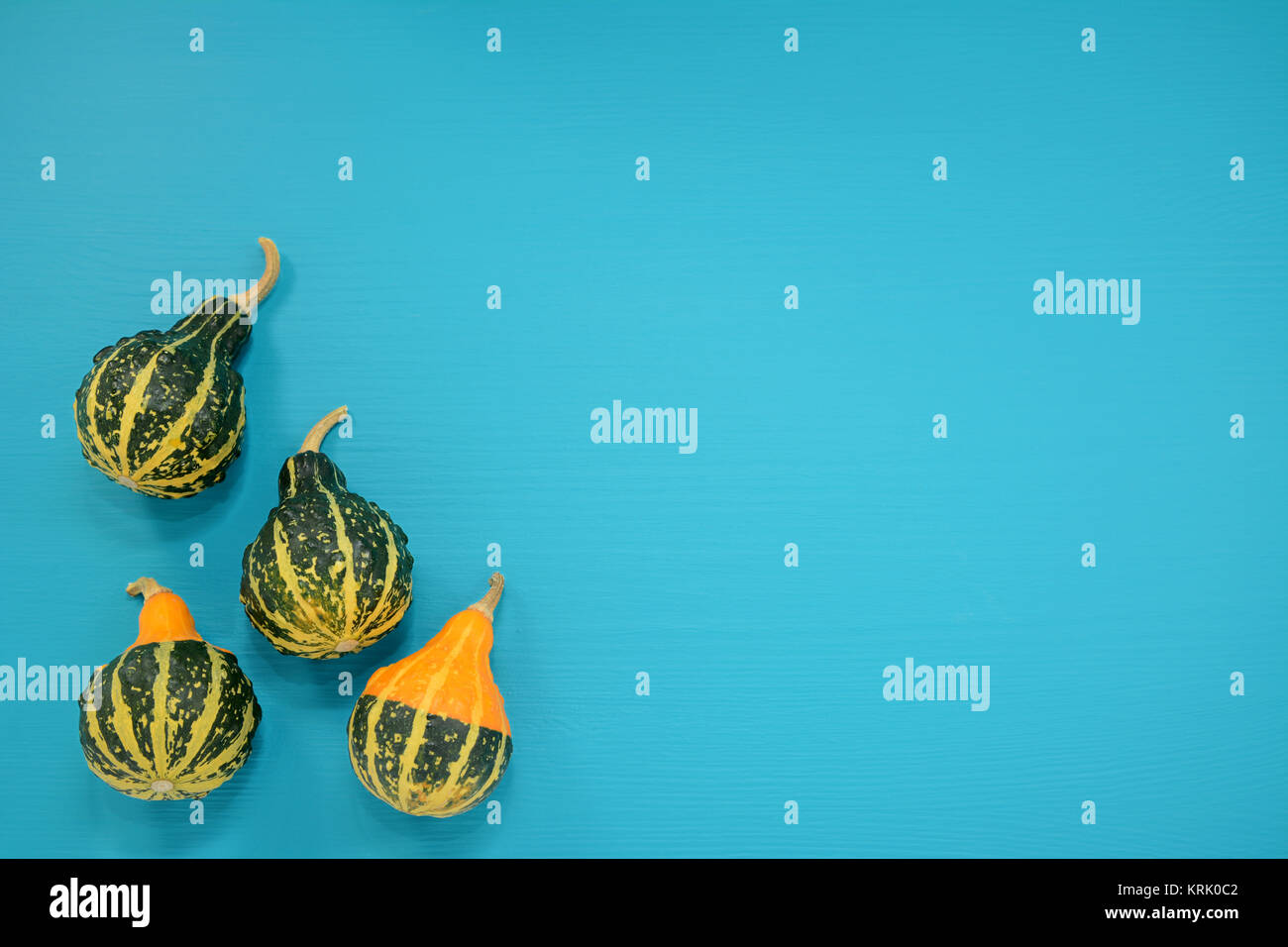 Les courges d'ornement vert et jaune sur fond bleu lumineux Banque D'Images