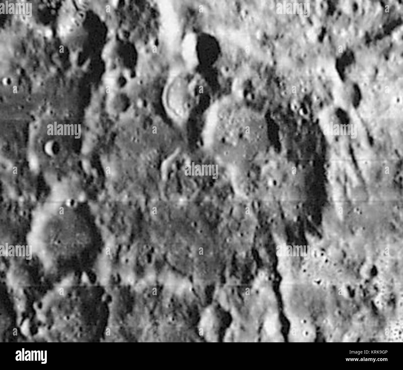 LO Parrot iv 101 h2 Banque D'Images