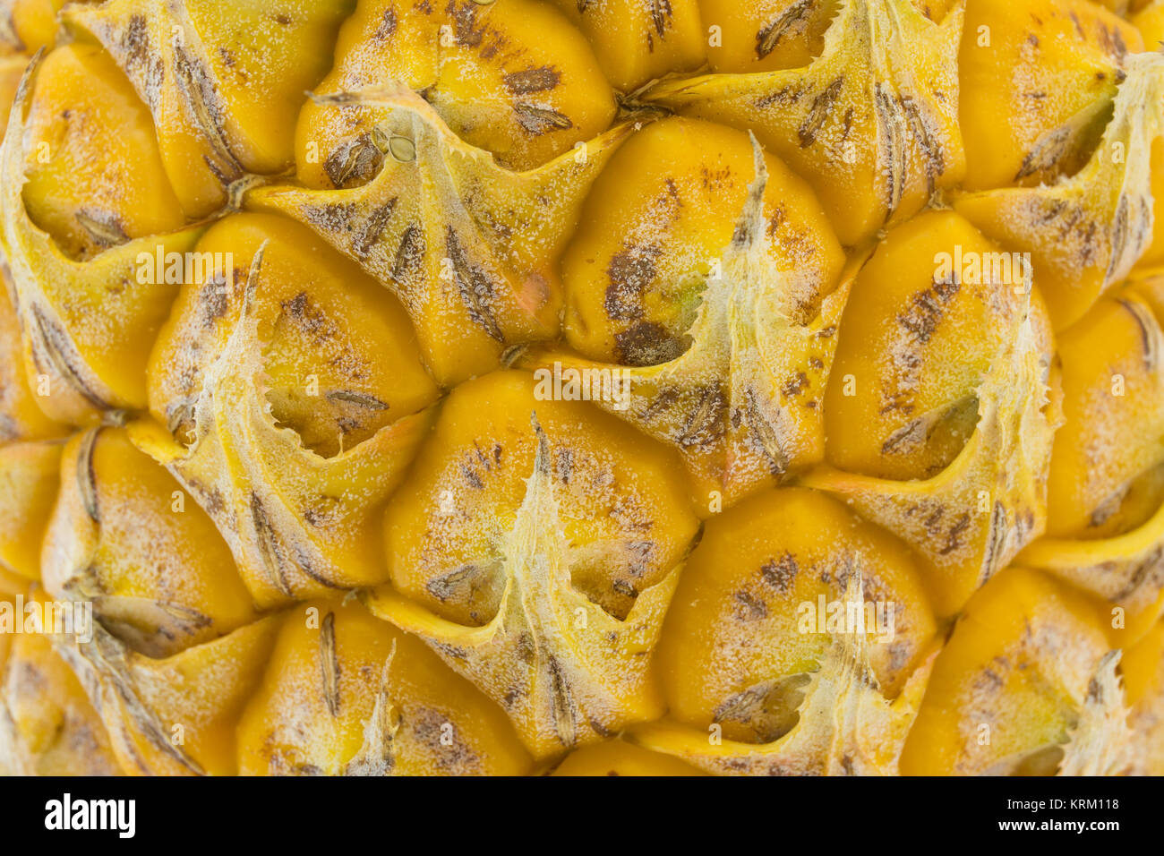 Gros plan du fruit d'ananas de la peau ou la texture background Banque D'Images