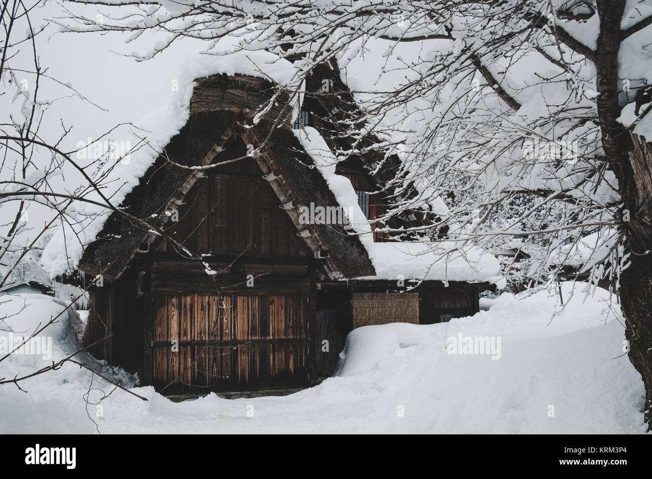 Villages historiques de Shirakawa-go, le Japon en jour de neige, ton film, look classique. Banque D'Images