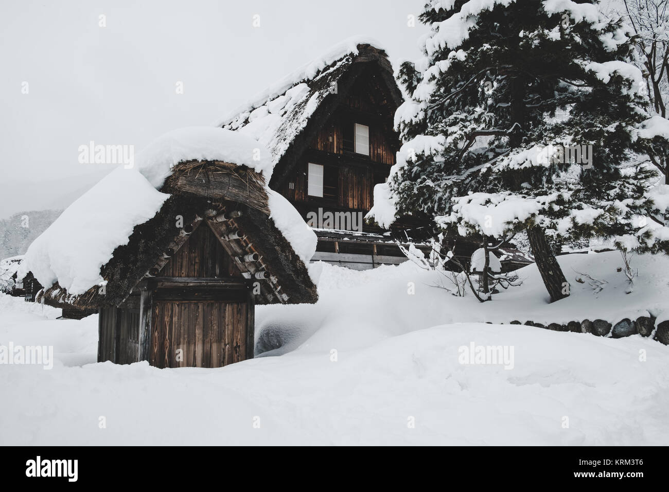 Villages historiques de Shirakawa-go, le Japon en jour de neige, ton film, look classique. Banque D'Images