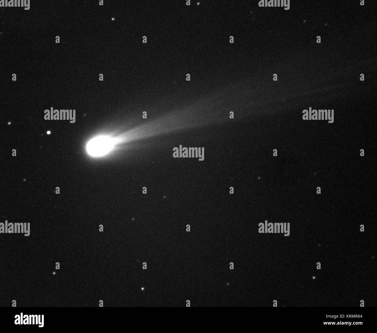 La Comète ISON lumineux Date : 19 Nov 2013 la comète ISON brille dans cette image prise le matin du 19 novembre 2013. Il s'agit d'une exposition de 10 secondes prises avec le Marshall Space Flight Center 20' télescope dans le Nouveau Mexique. L'appareil photo il est en noir et blanc, mais le petit champ de vue permet de mieux 'zoom in' de la coma de la comète, qui est essentiellement la tête de la comète. Credit : NASA/MSFC/MEO/Cameron McCarty -------- Plus de détails sur la Comète ISON : Comète ISON a commencé son voyage depuis le nuage de Oort région de notre système solaire et est maintenant voyager vers le soleil. La comète va atteindre son fermer Banque D'Images