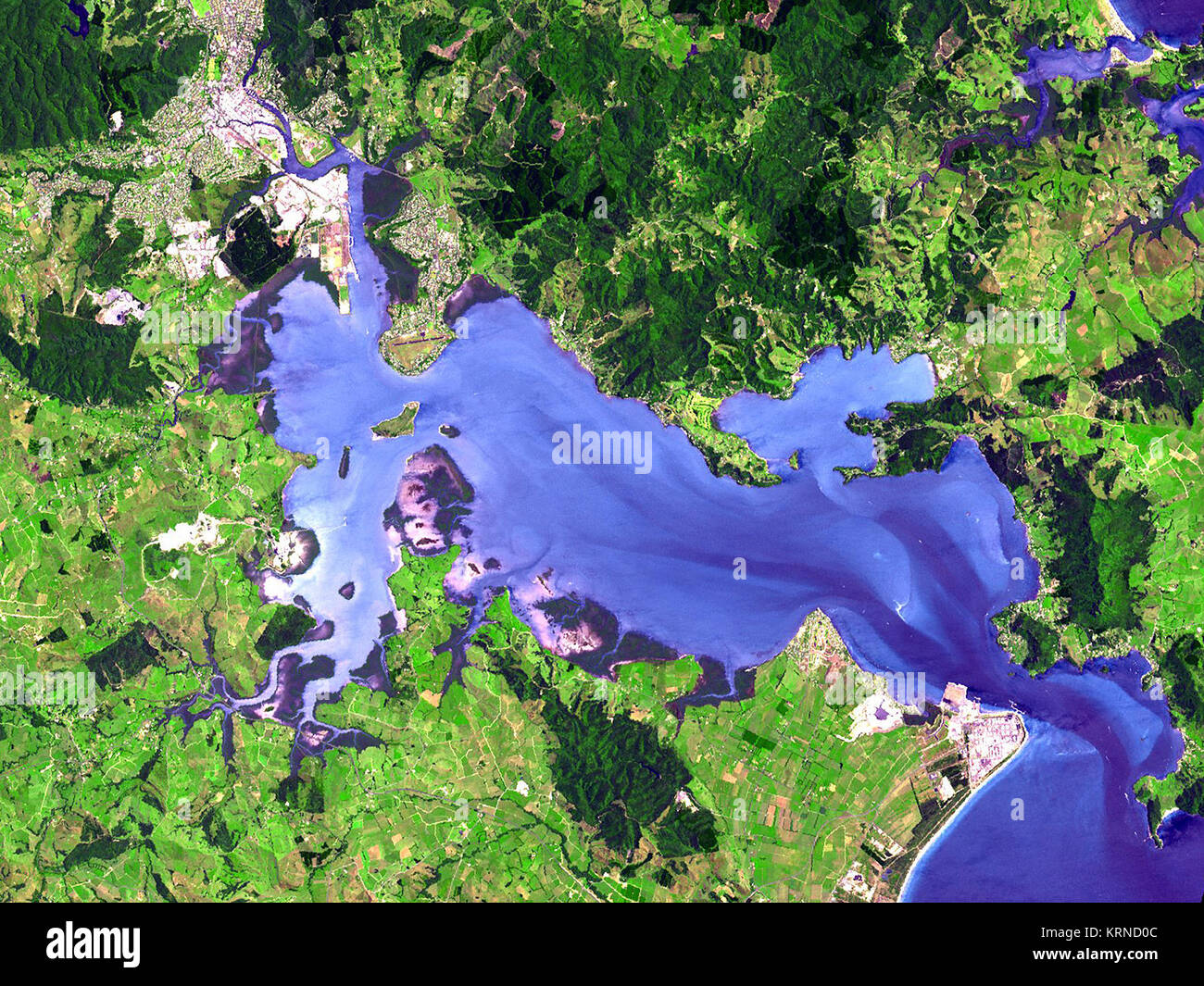 Whangarei Harbour (image satellite) Banque D'Images