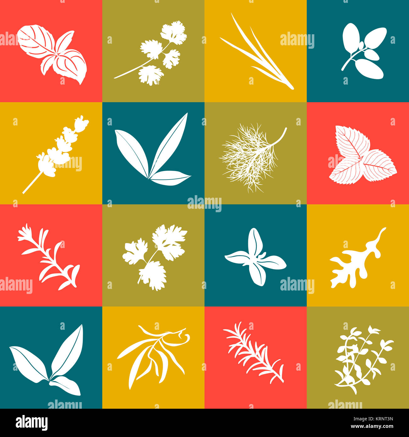 Les herbes hand drawn vector icon set carré grand Banque D'Images