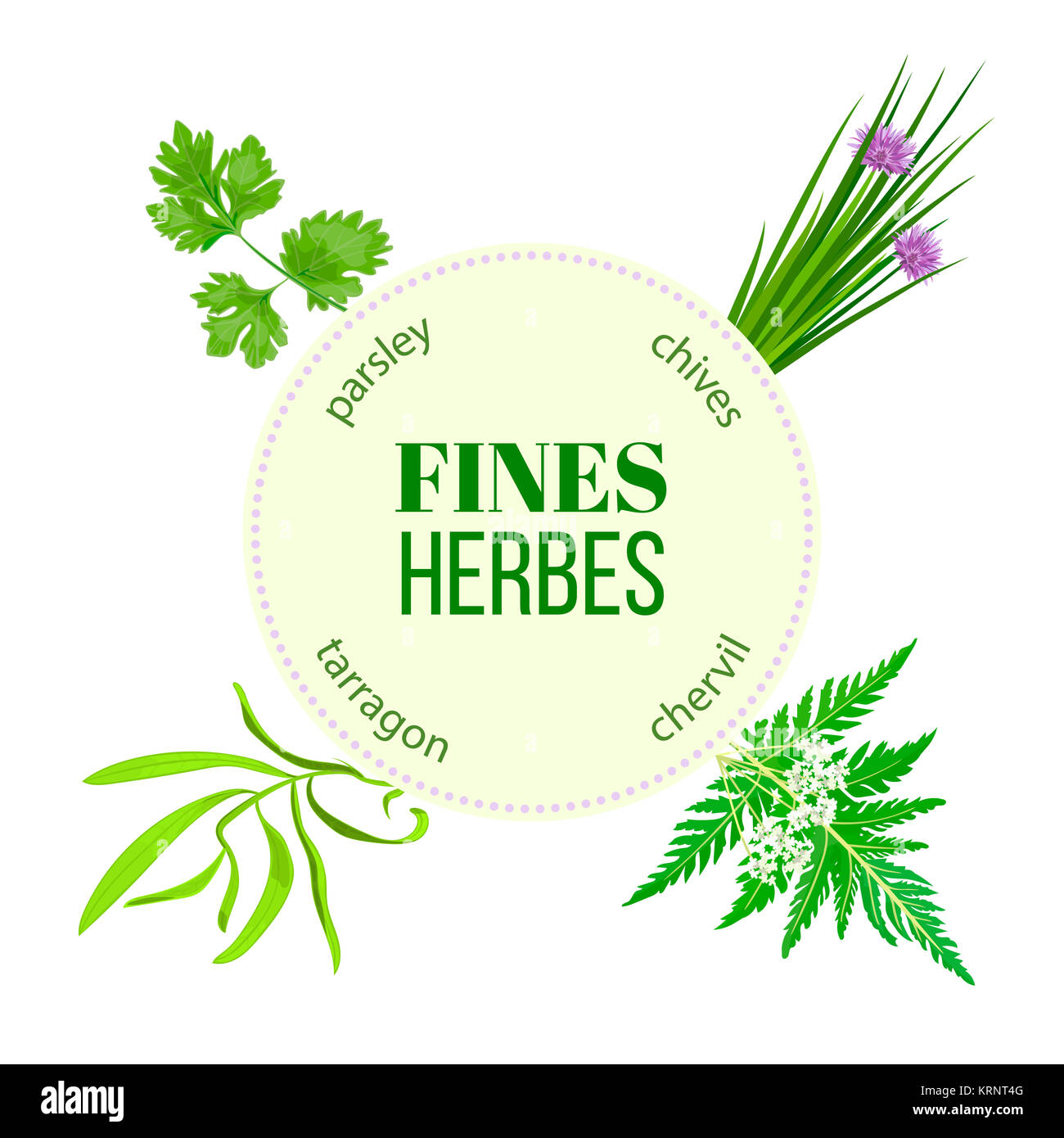 Fines herbes emblème ronde Banque D'Images