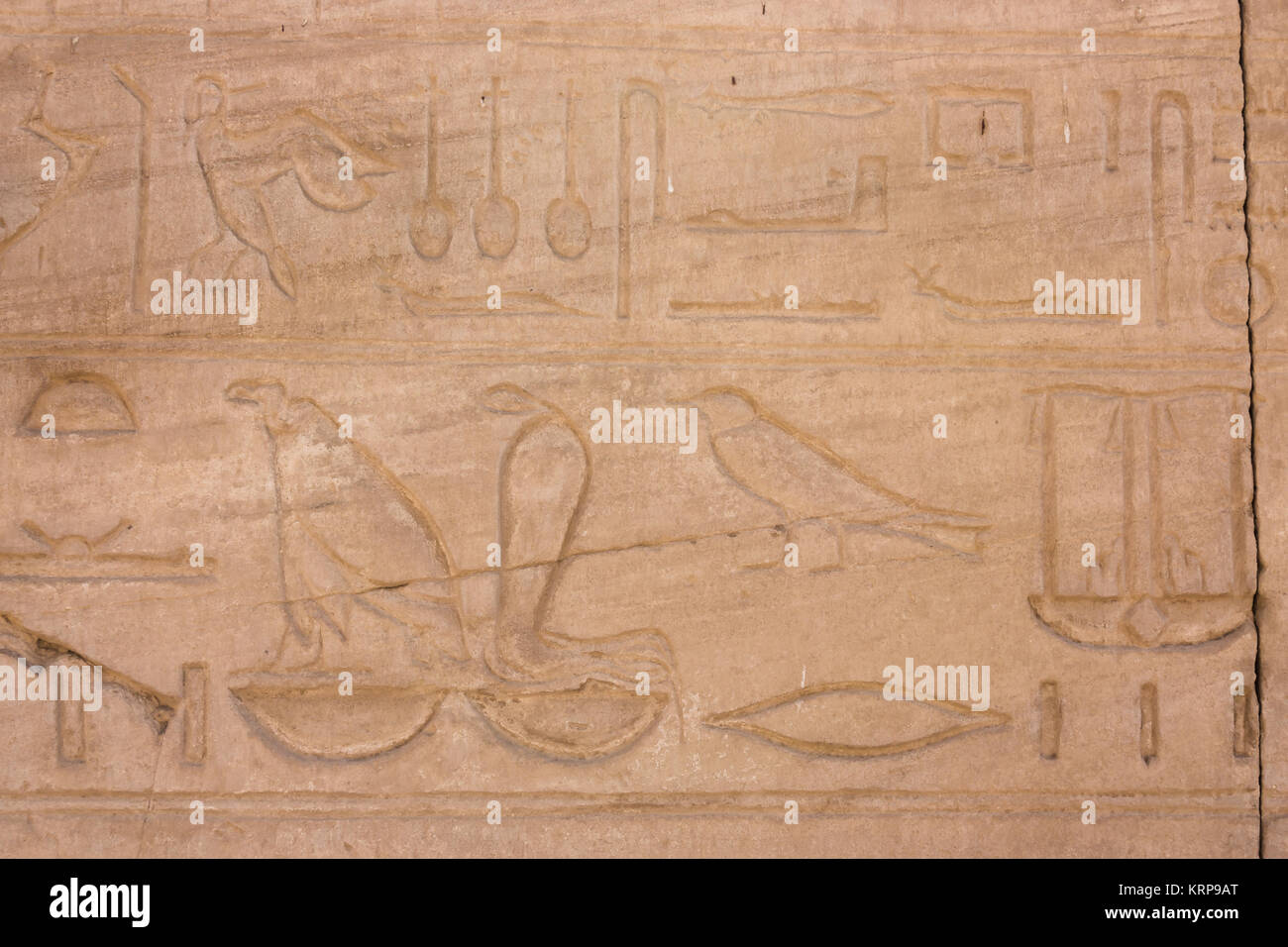 Les hiéroglyphes de l'Égypte ancienne Banque D'Images