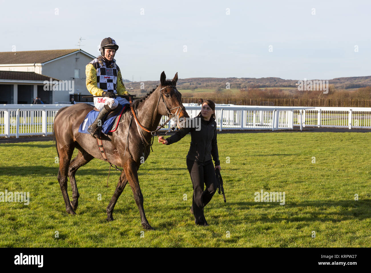 Minella Scamp, montée par Paddy Brennan, après avoir terminé deuxième dans l'énergie celtique à Chase Ffos Las Banque D'Images