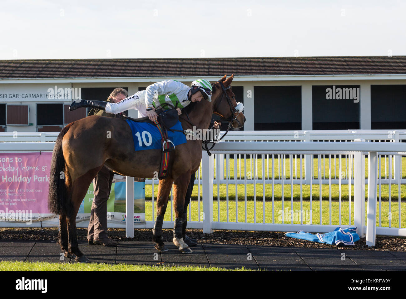 Thomas Greatrex Jockey monte Moontripper avant une course à Ffos Las hippodrome Banque D'Images