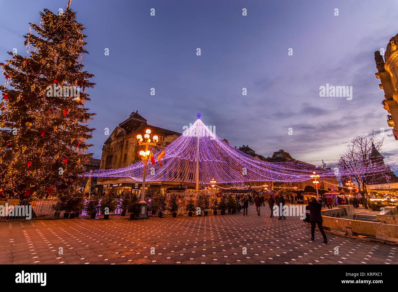 Paysage de nuit place de la ville d'hiver avec l'arbre de Noël et maison de marché. Timisoara Banque D'Images