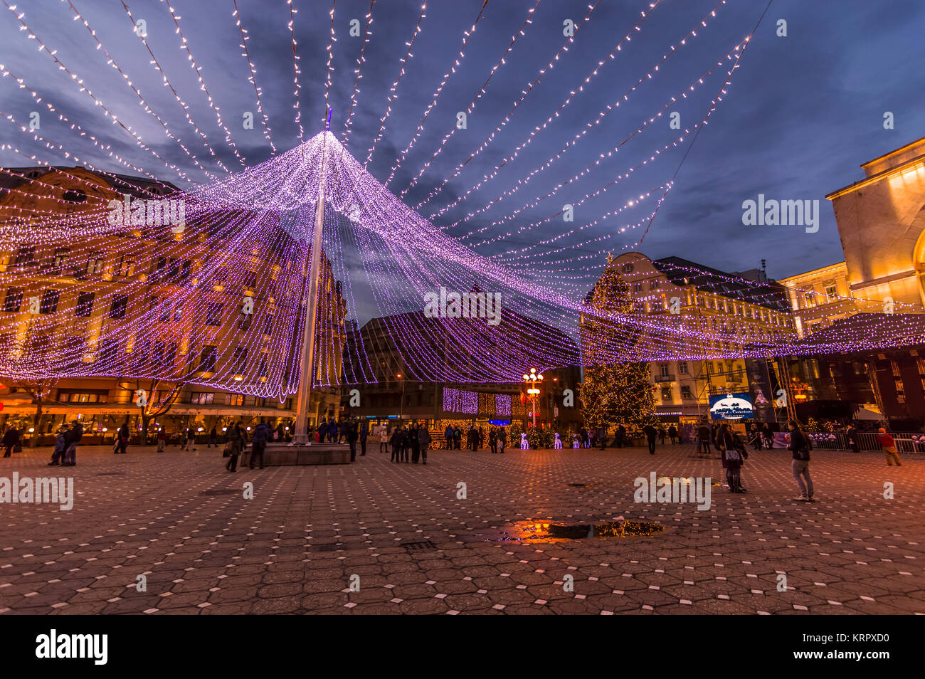 Paysage de nuit place de la ville d'hiver avec l'arbre de Noël et maison de marché. Timisoara Banque D'Images