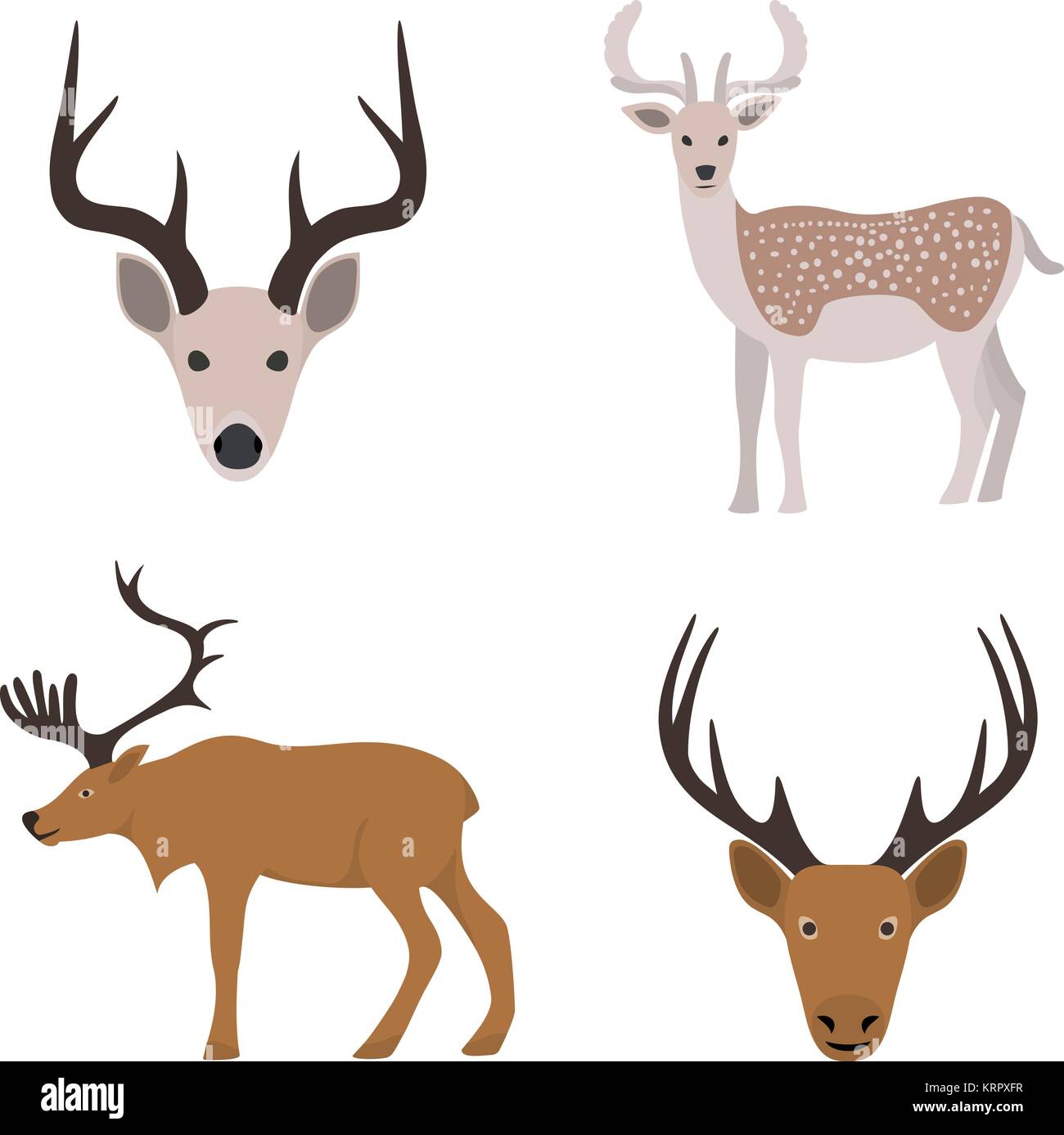 Les cerfs et leur tête - isolated on white Illustration de Vecteur
