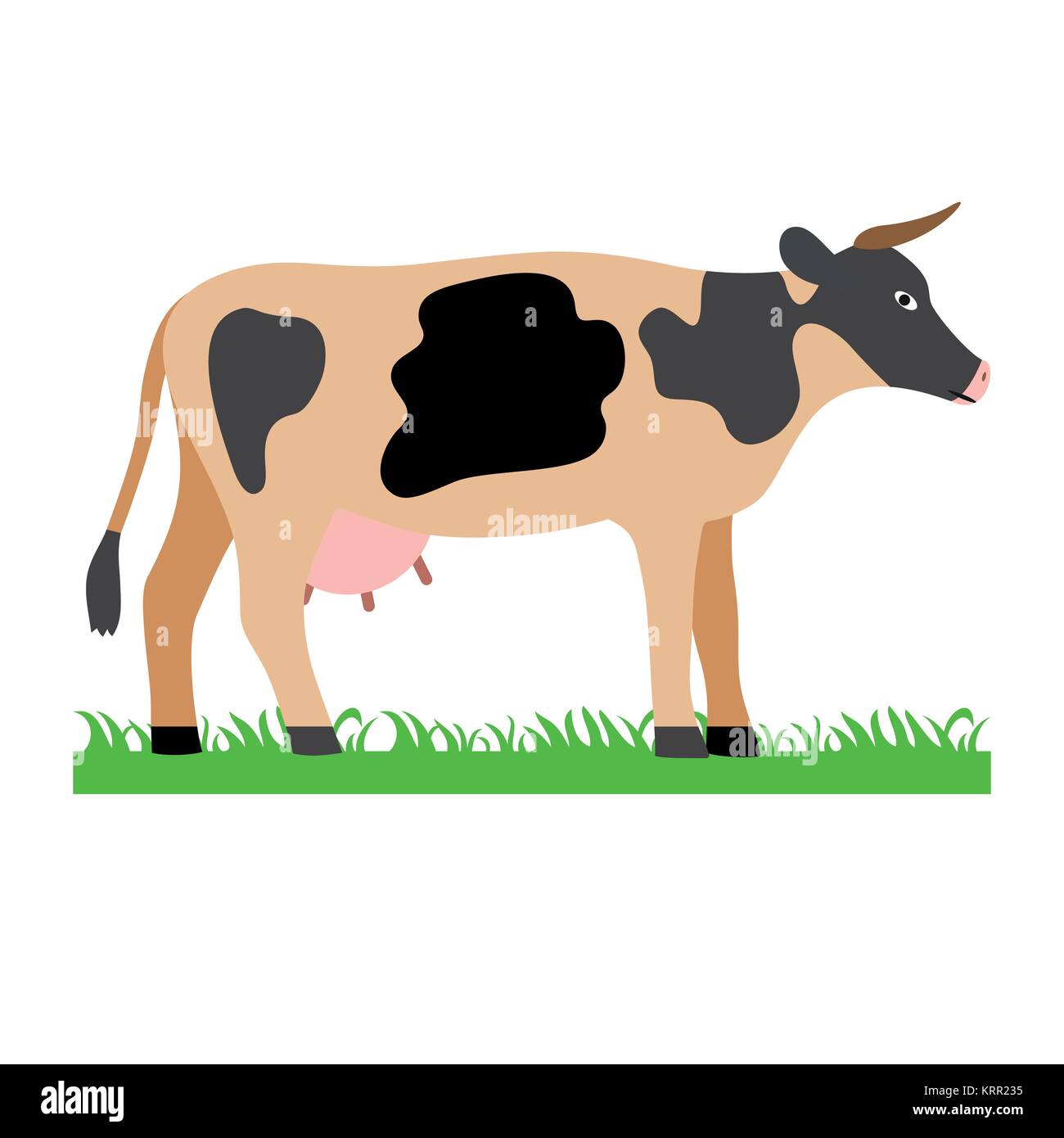 Vache sur champ vert illustration - Illustration sur fond blanc Illustration de Vecteur