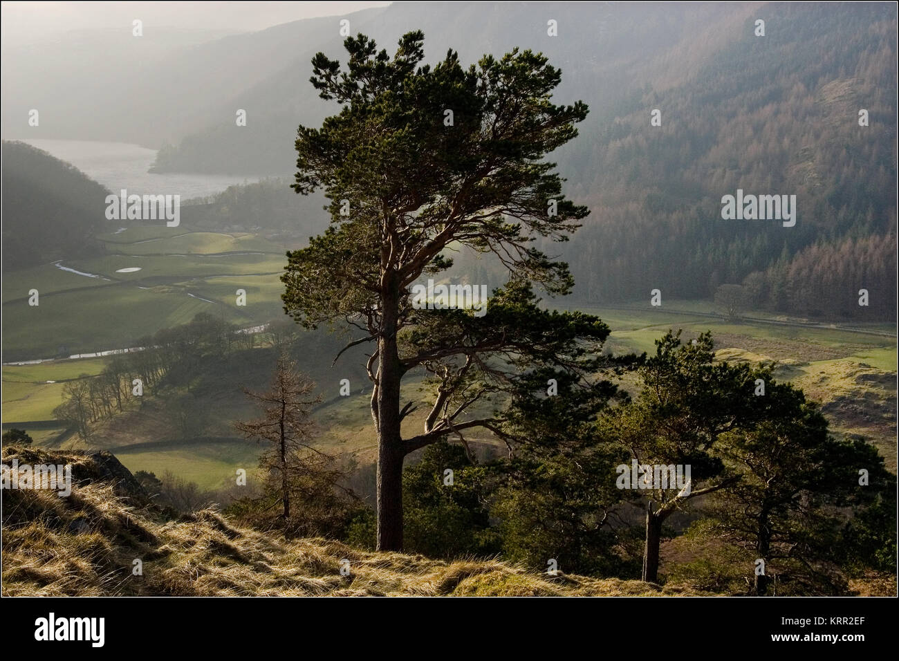 Crag Wren et Thirlmere dans le Lake District Banque D'Images